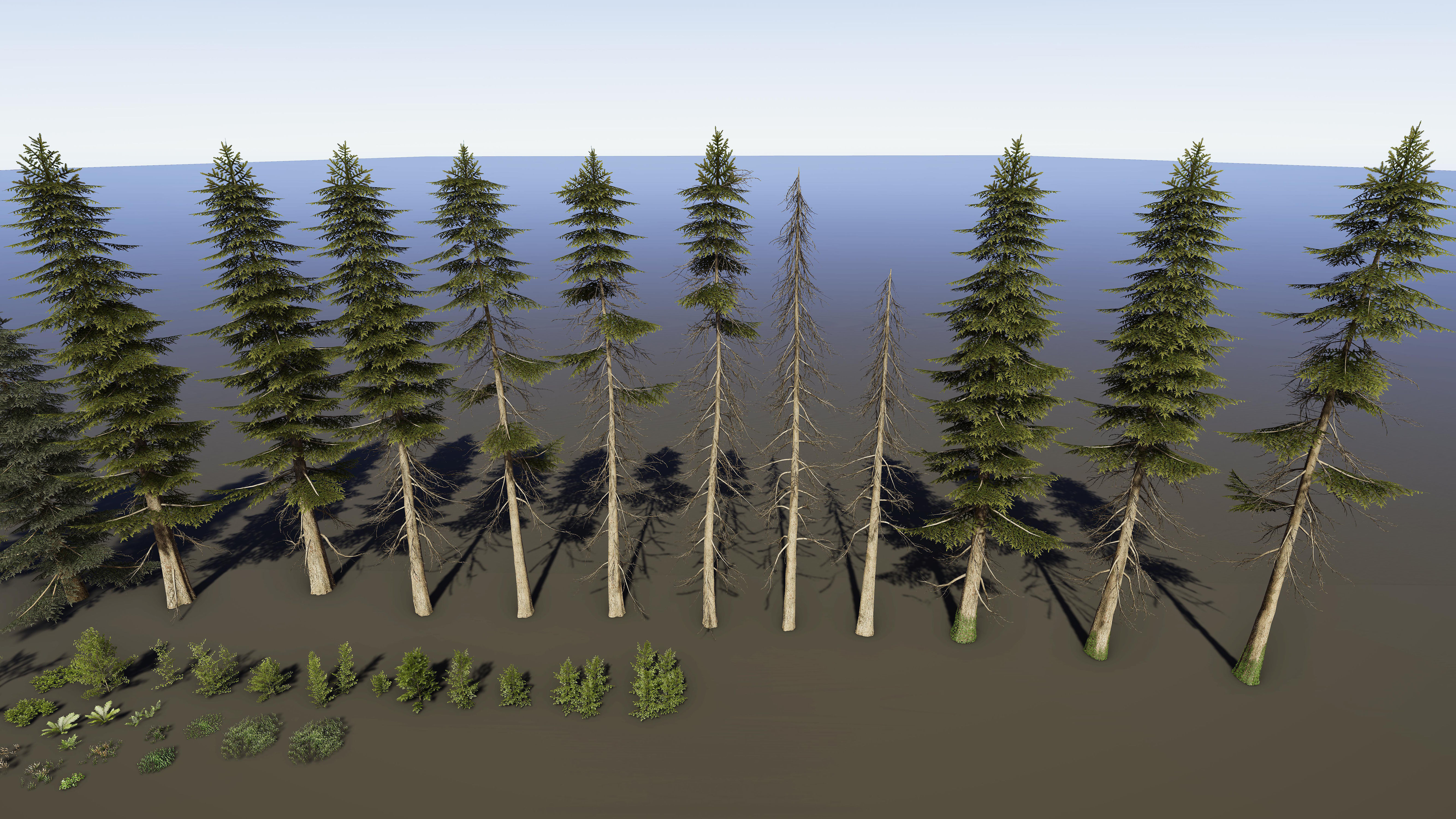 Nature Package - Coniferous Environment Unity Low-poly 3D model_25