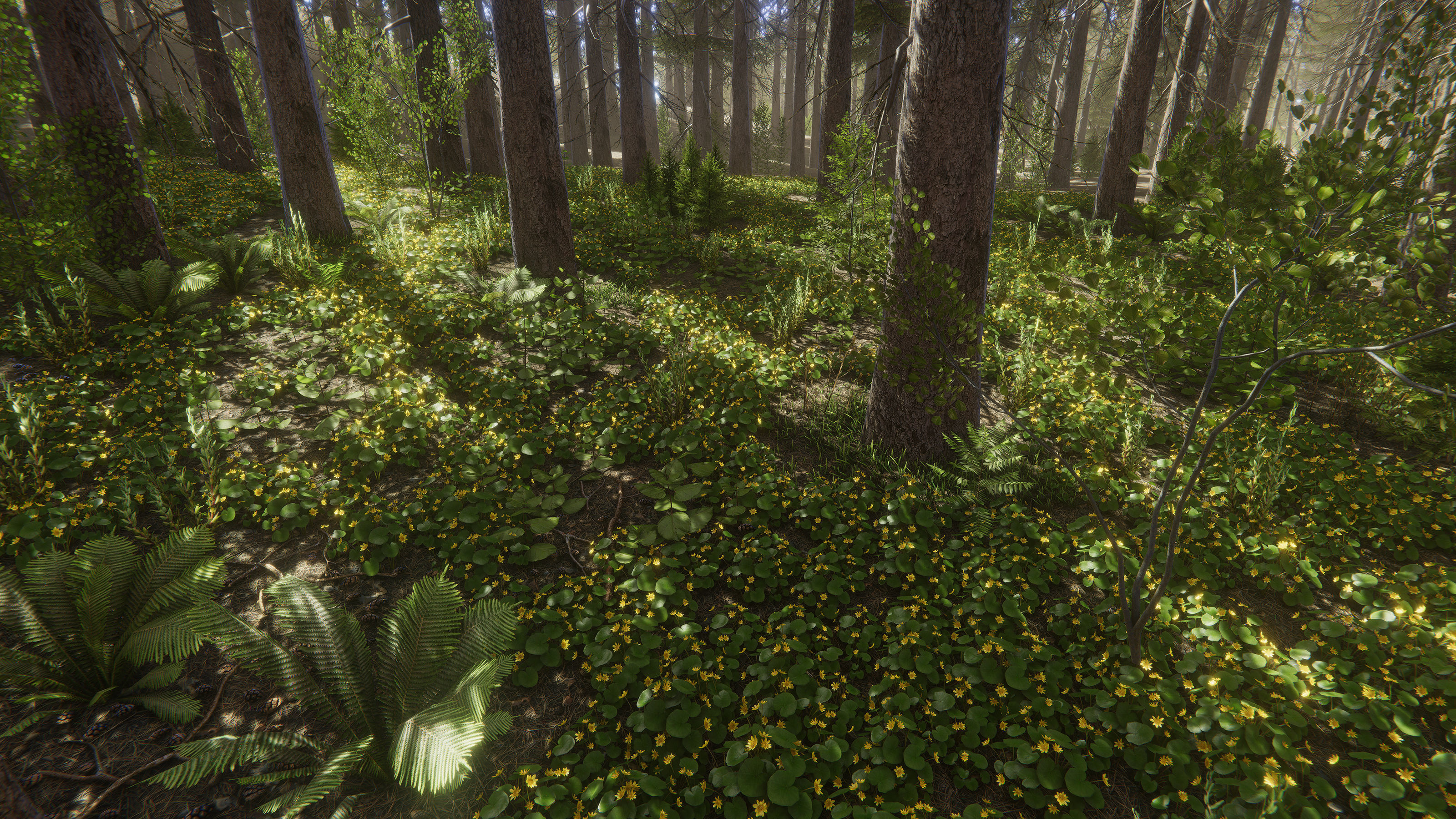 Nature Package - Coniferous Environment Unity Low-poly 3D model_14