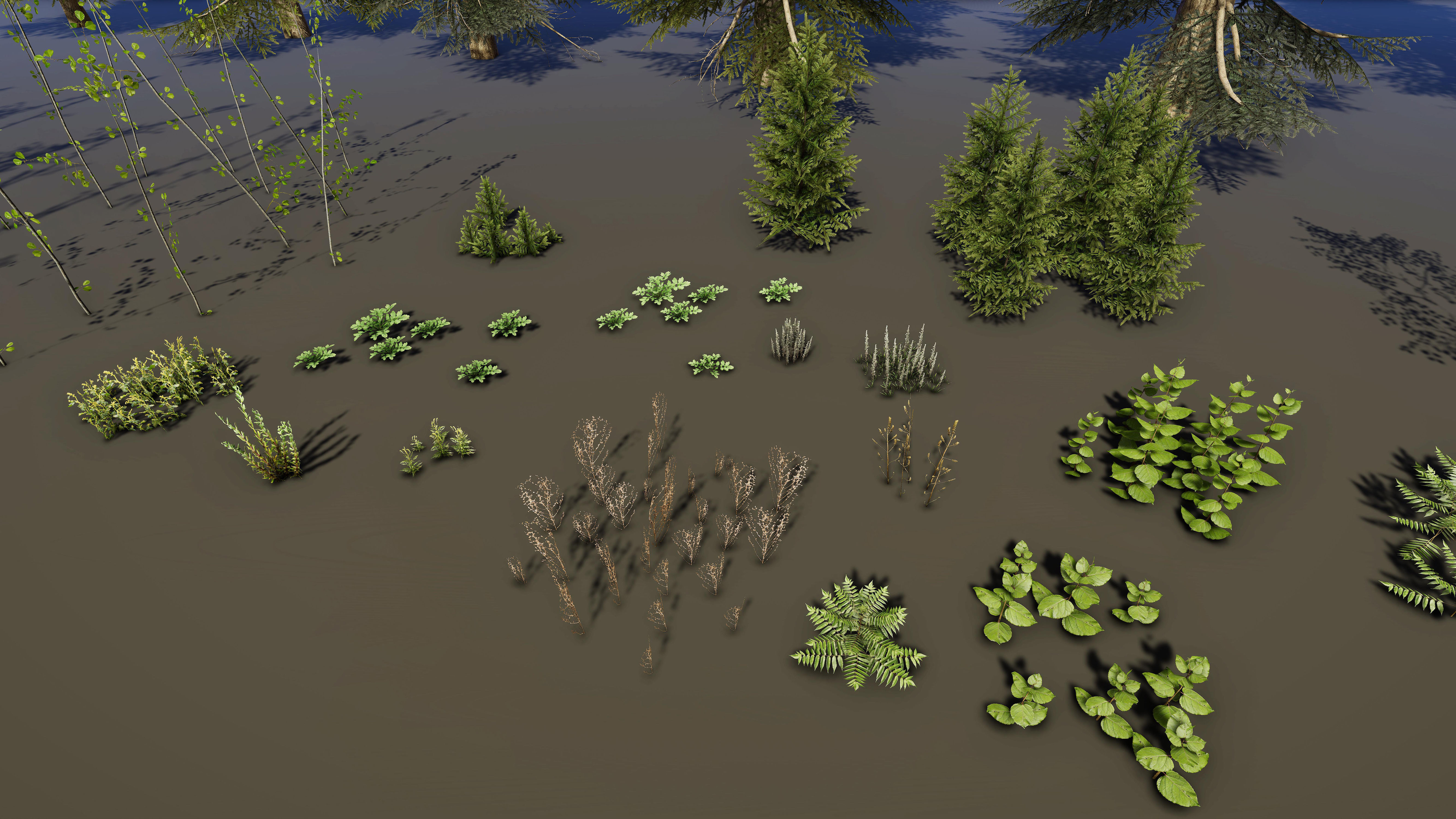 Nature Package - Coniferous Environment Unity Low-poly 3D model_41