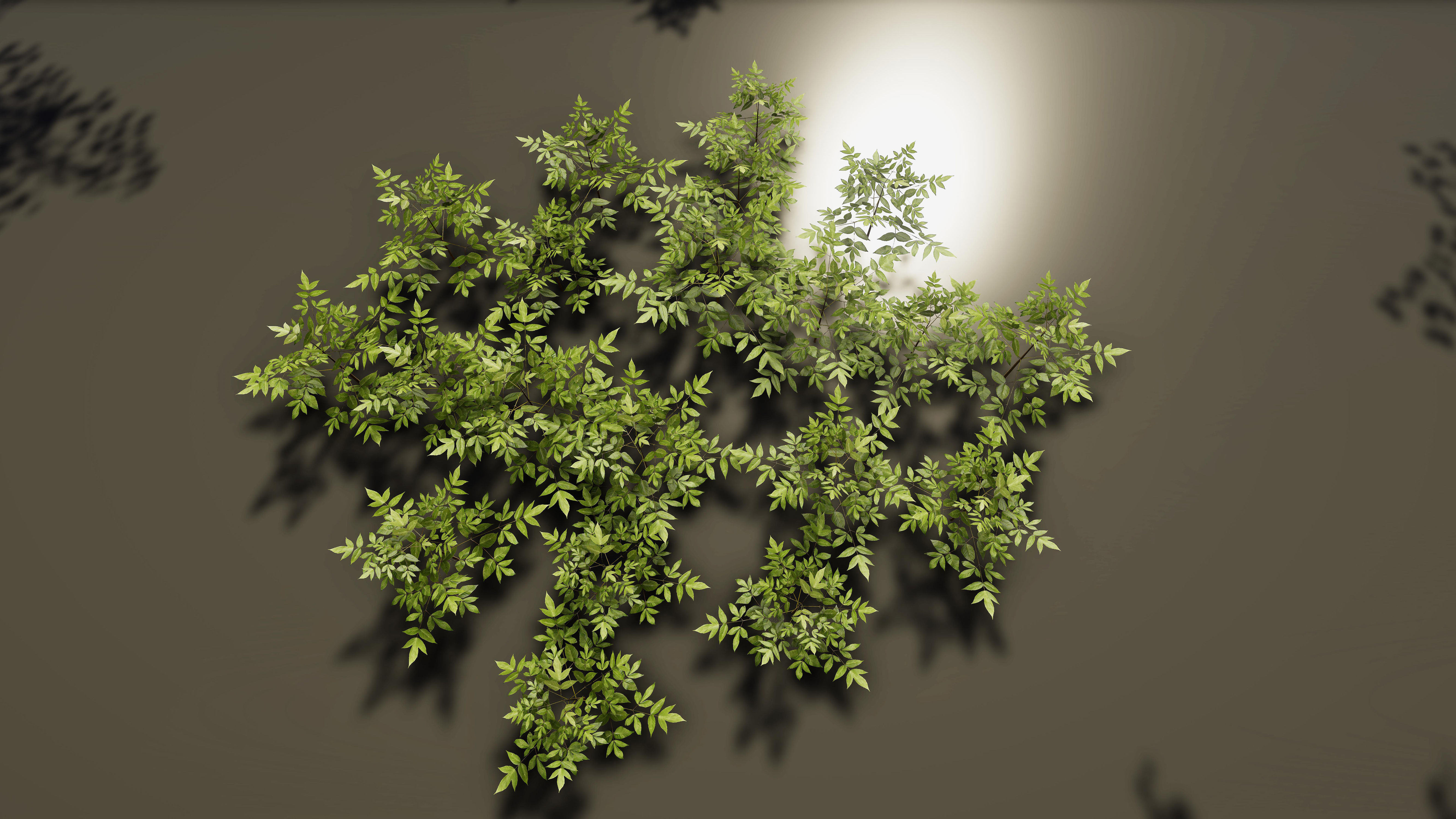 Nature Package - Coniferous Environment Unity Low-poly 3D model_42