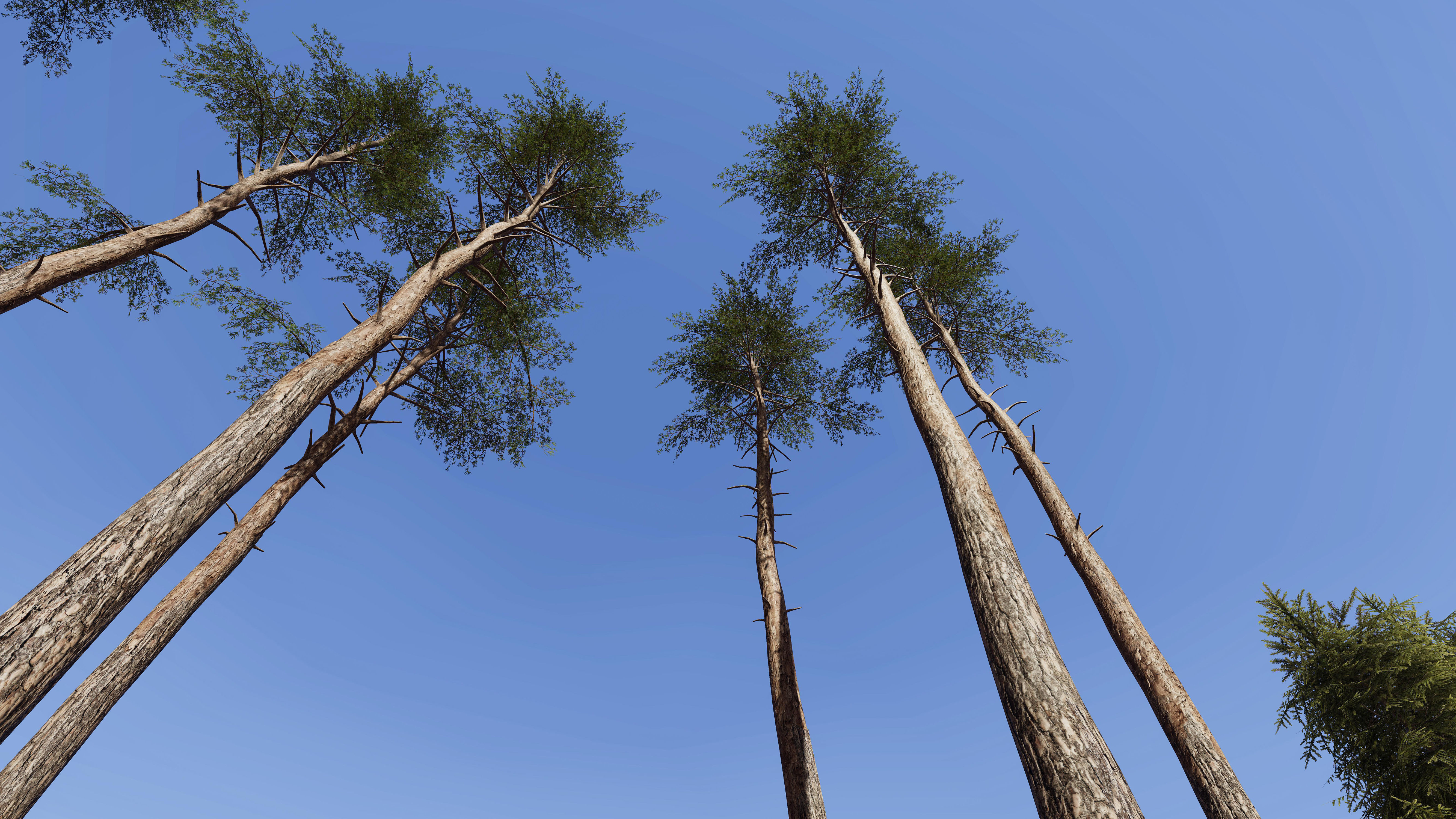 Nature Package - Coniferous Environment Unity Low-poly 3D model_22