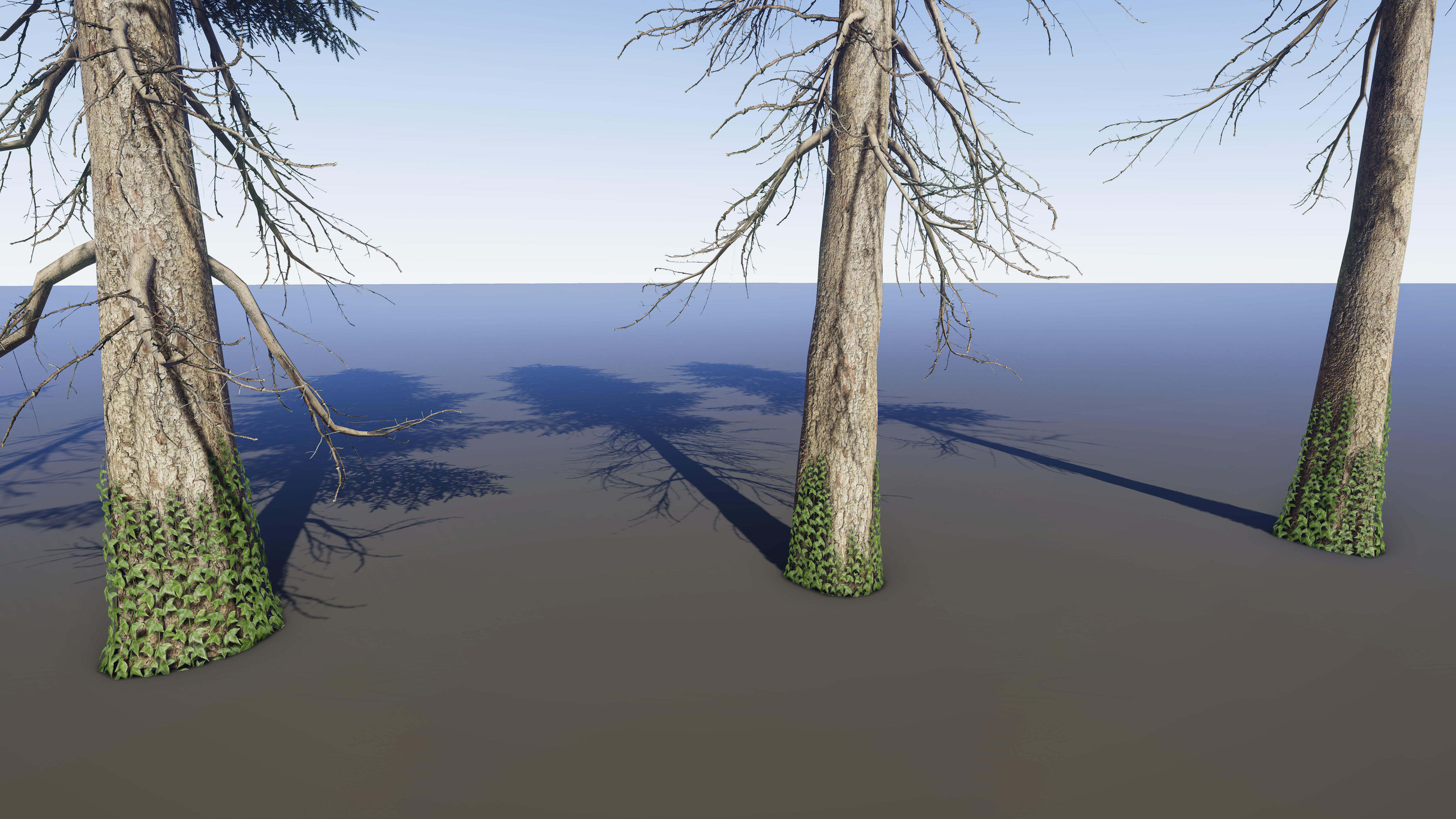 Nature Package - Coniferous Environment Unity Low-poly 3D model_23