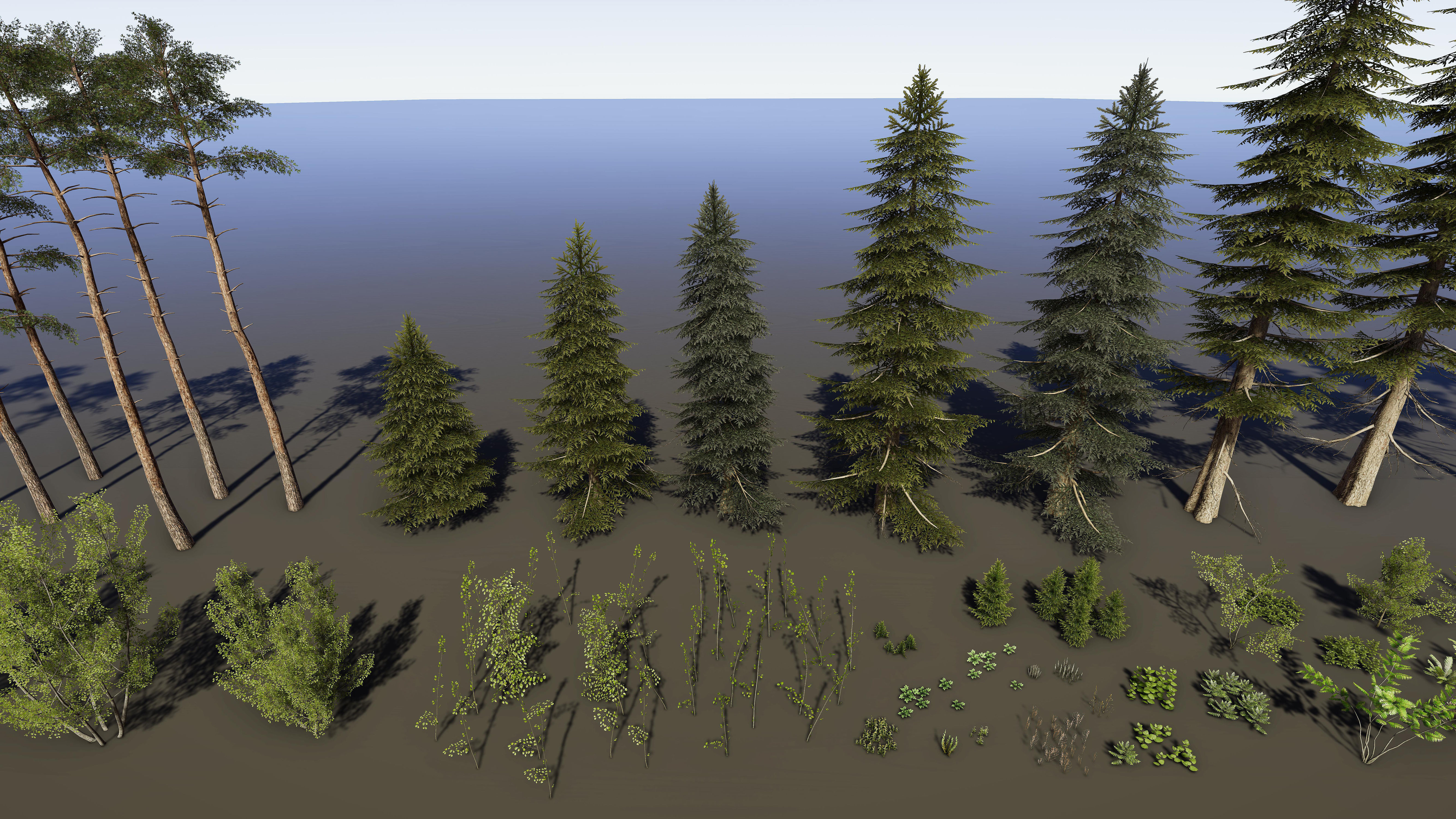 Nature Package - Coniferous Environment Unity Low-poly 3D model_26