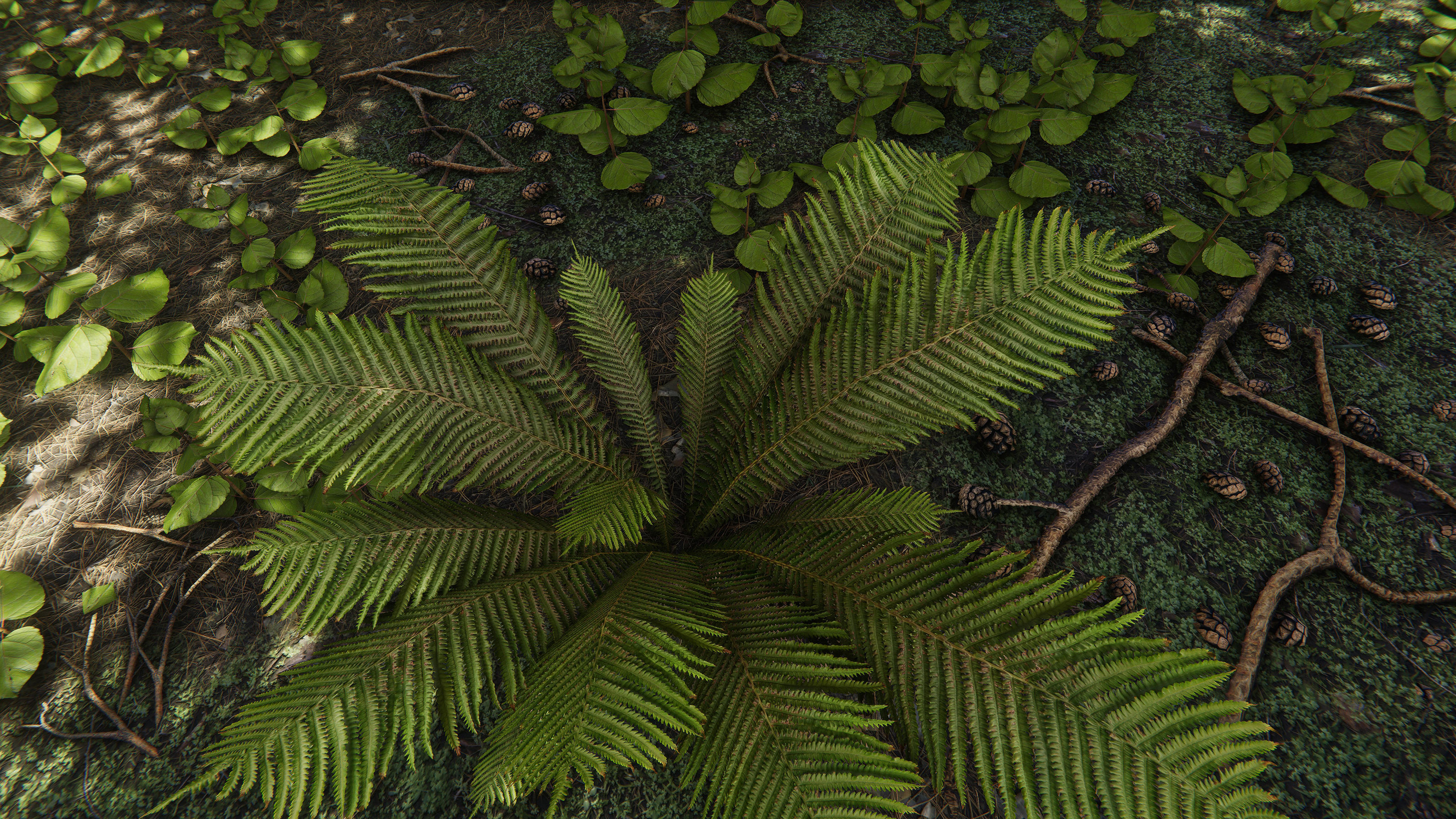 Nature Package - Coniferous Environment Unity Low-poly 3D model_10