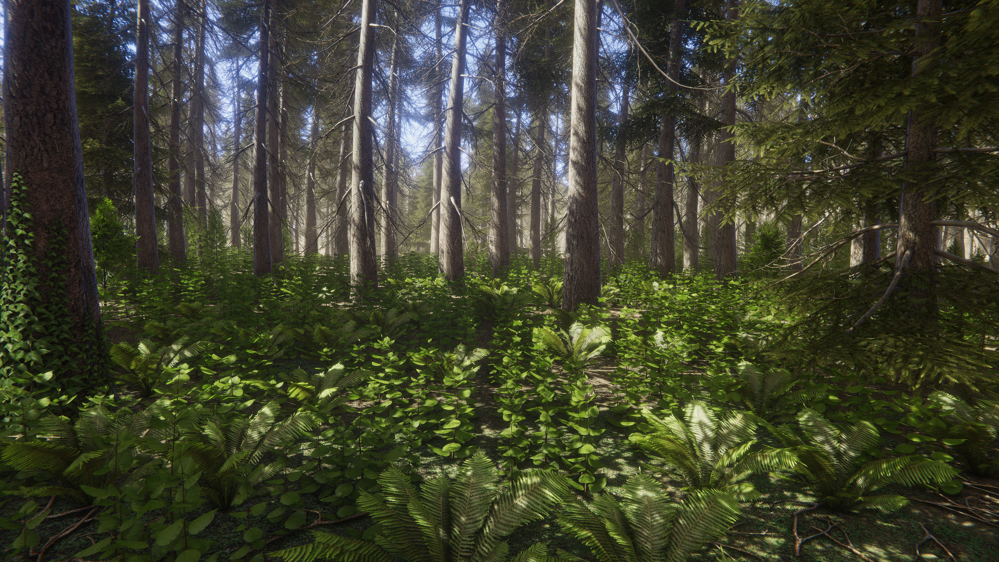 Nature Package - Coniferous Environment Unity Low-poly 3D model_16