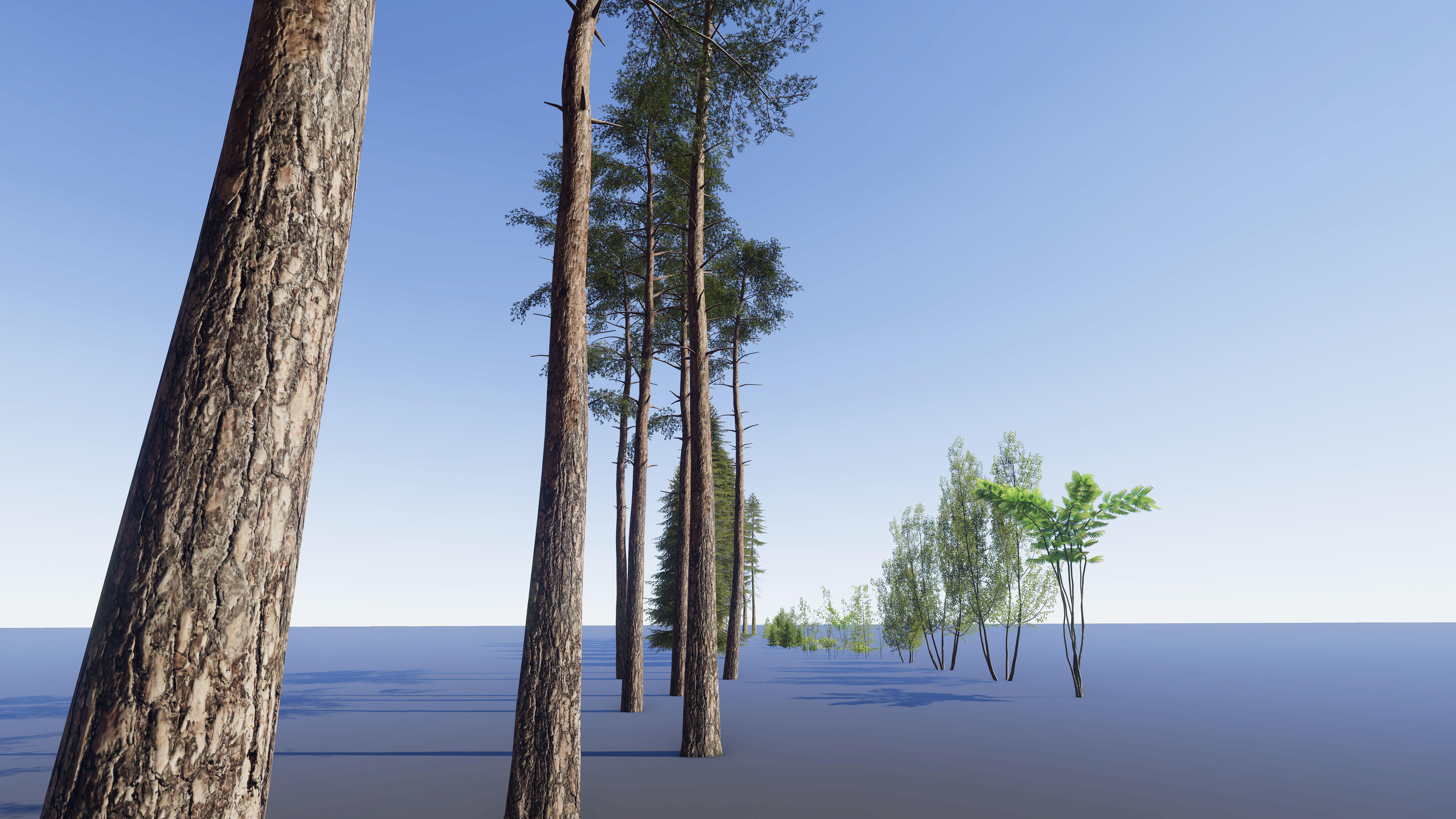 Nature Package - Coniferous Environment Unity Low-poly 3D model_24