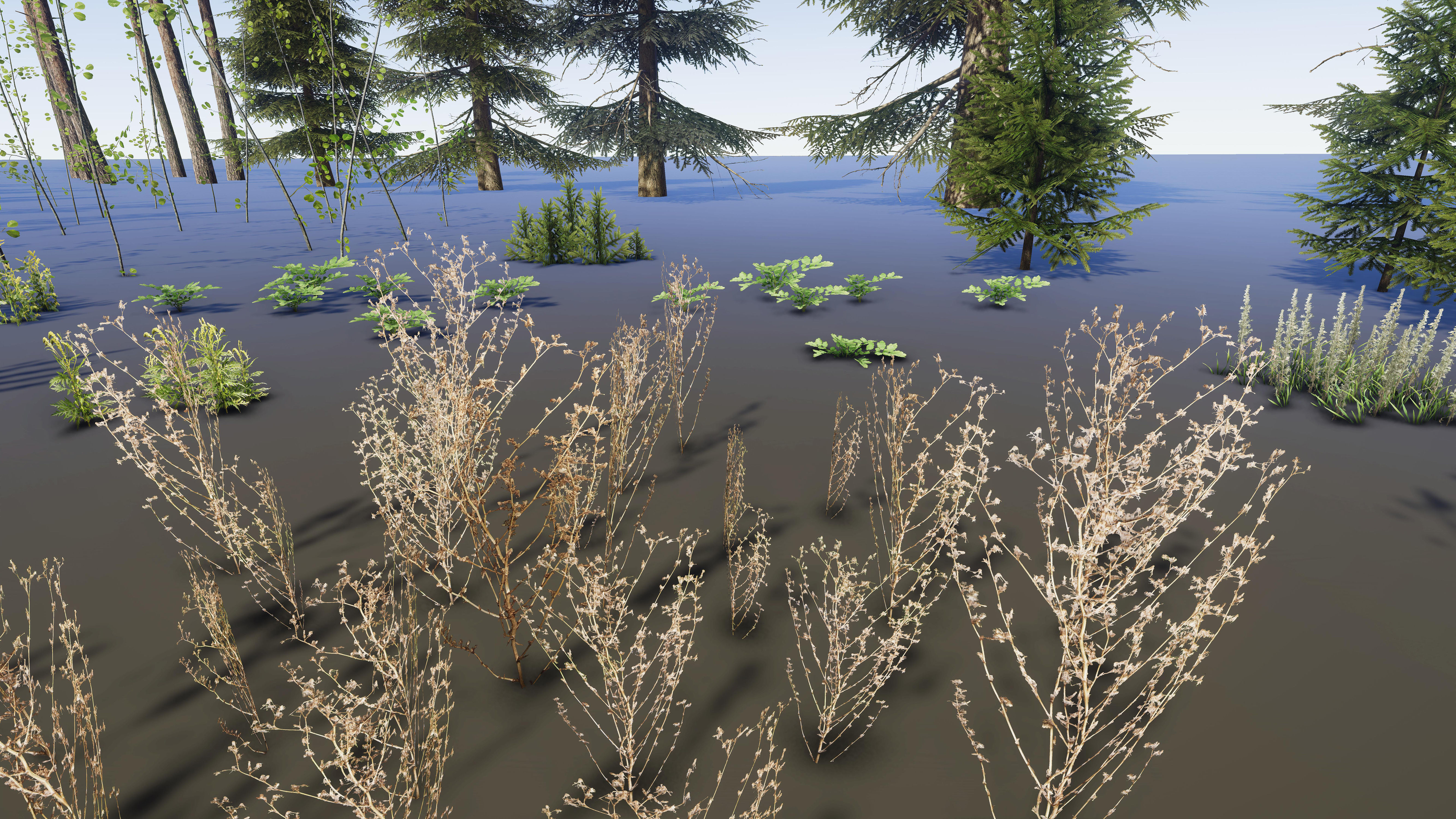 Nature Package - Coniferous Environment Unity Low-poly 3D model_56