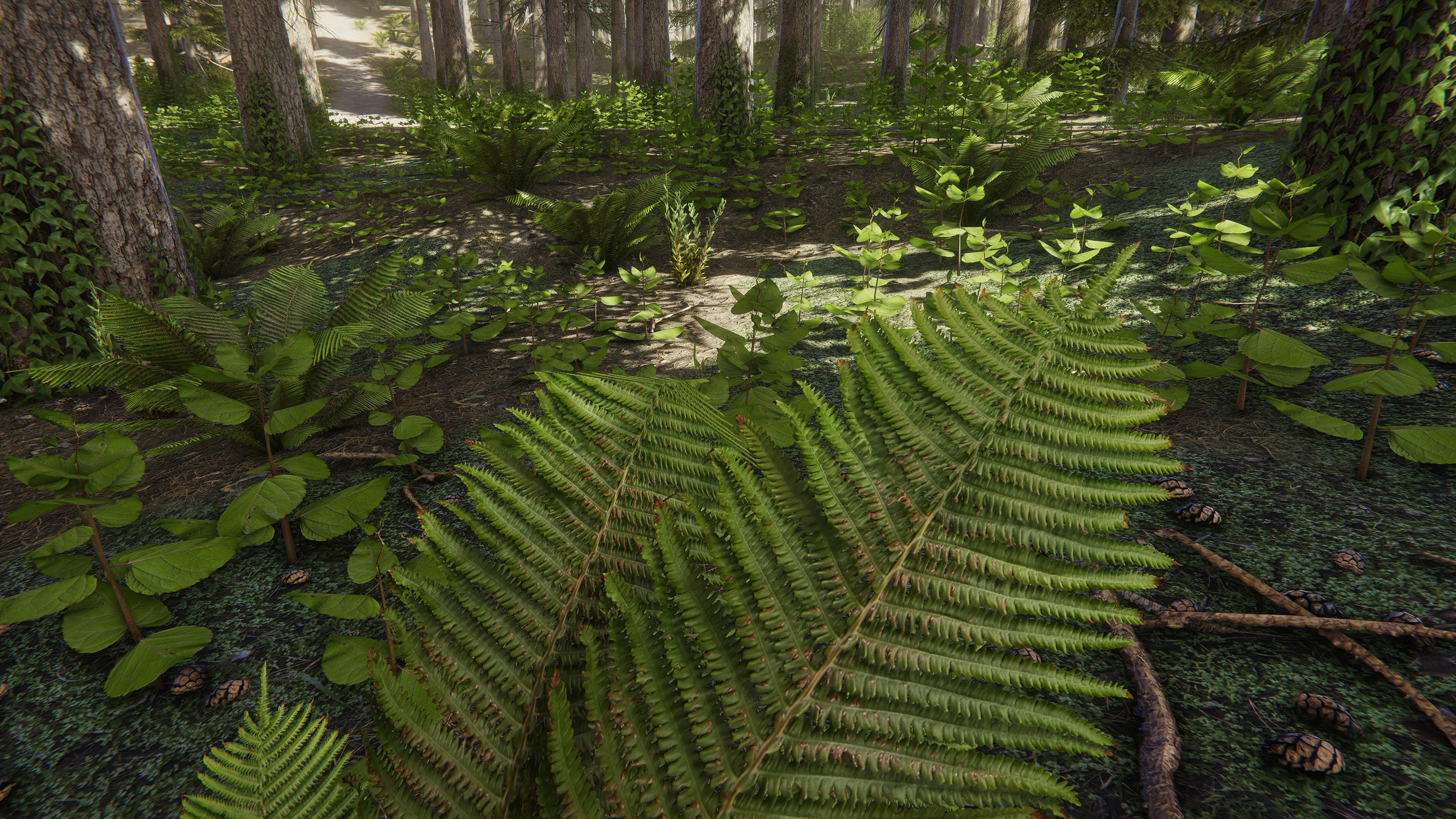 Nature Package - Coniferous Environment Unity Low-poly 3D model_11