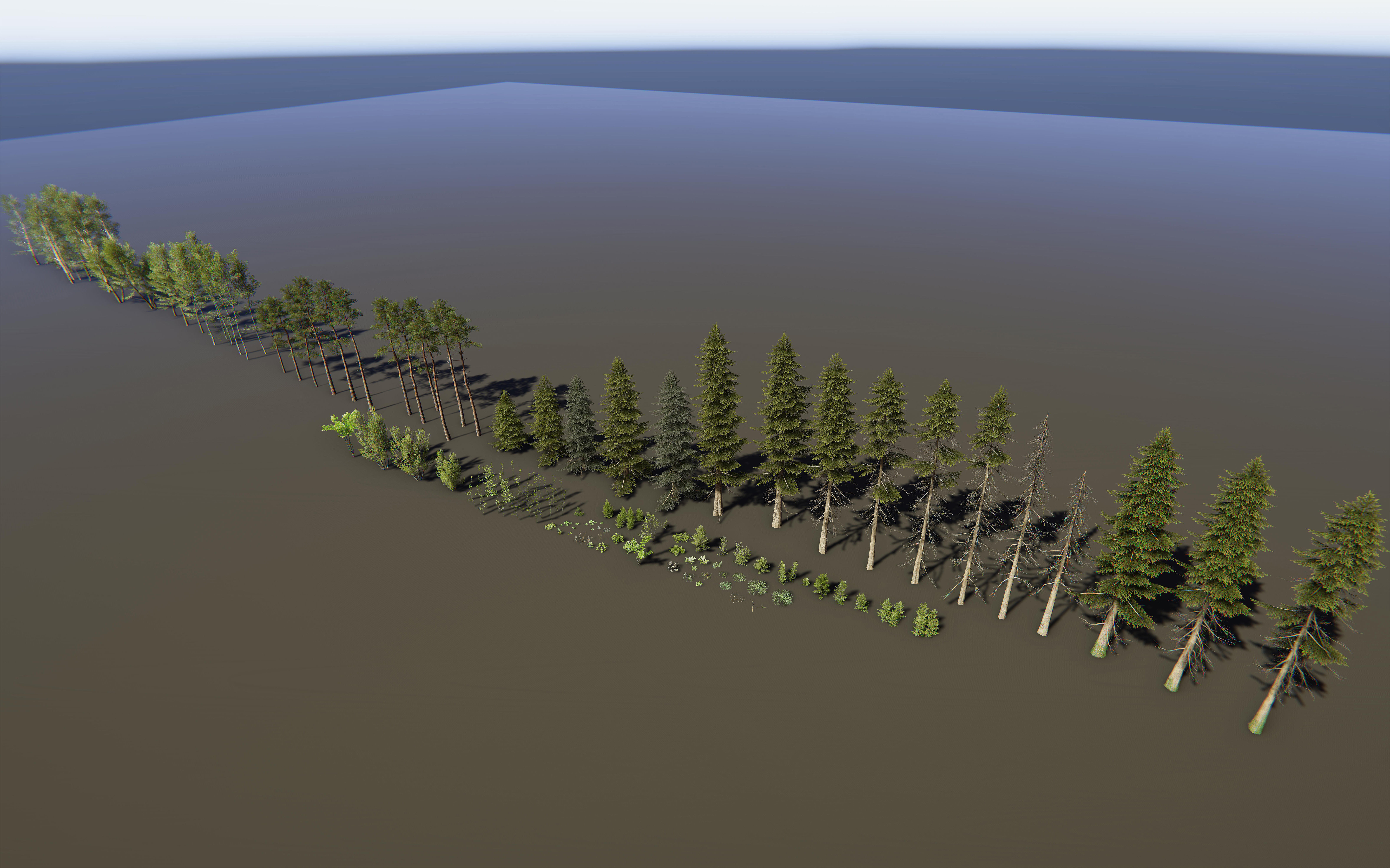 Nature Package - Coniferous Environment Unity Low-poly 3D model_19
