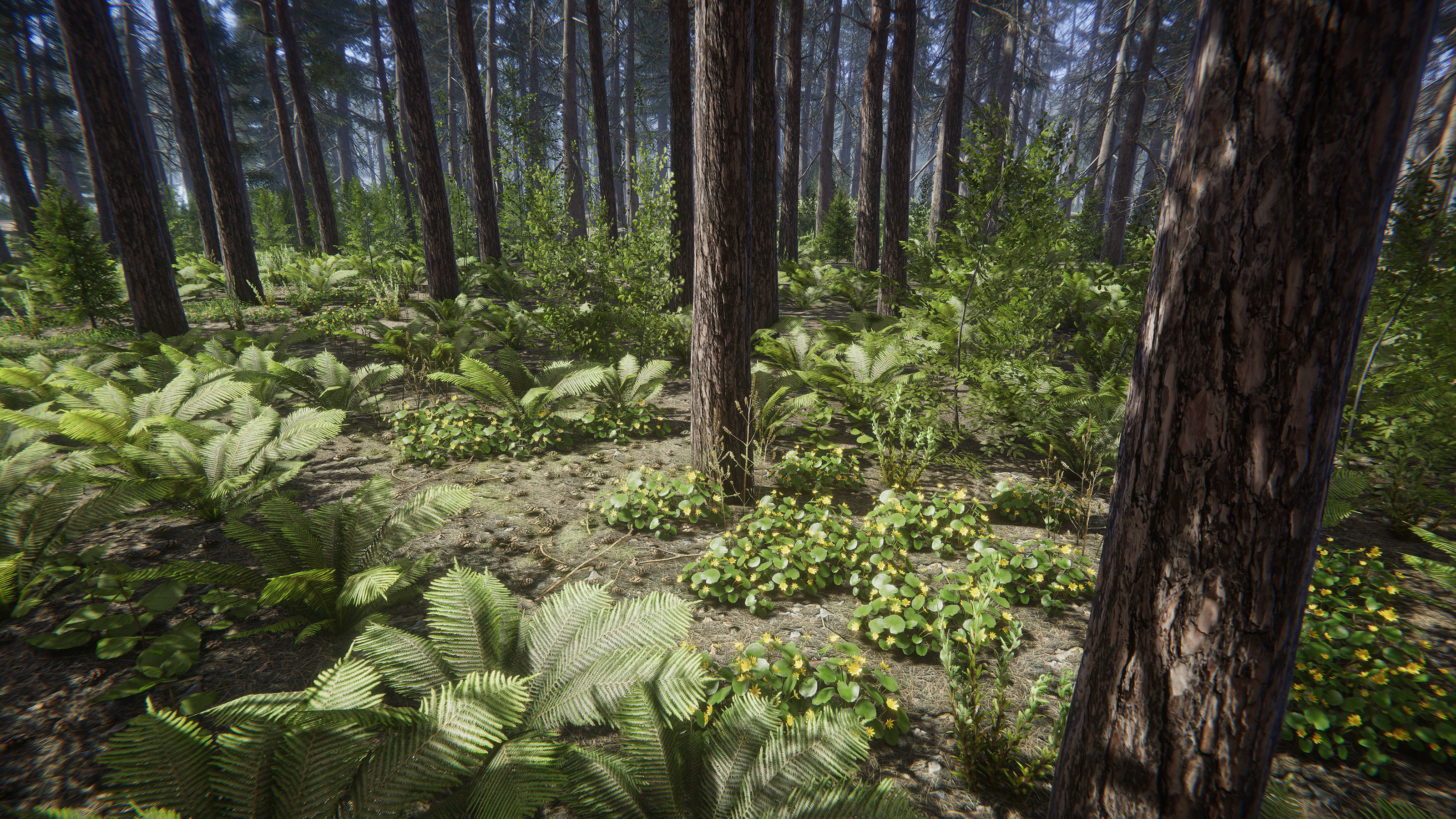 Nature Package - Coniferous Environment Unity Low-poly 3D model_15