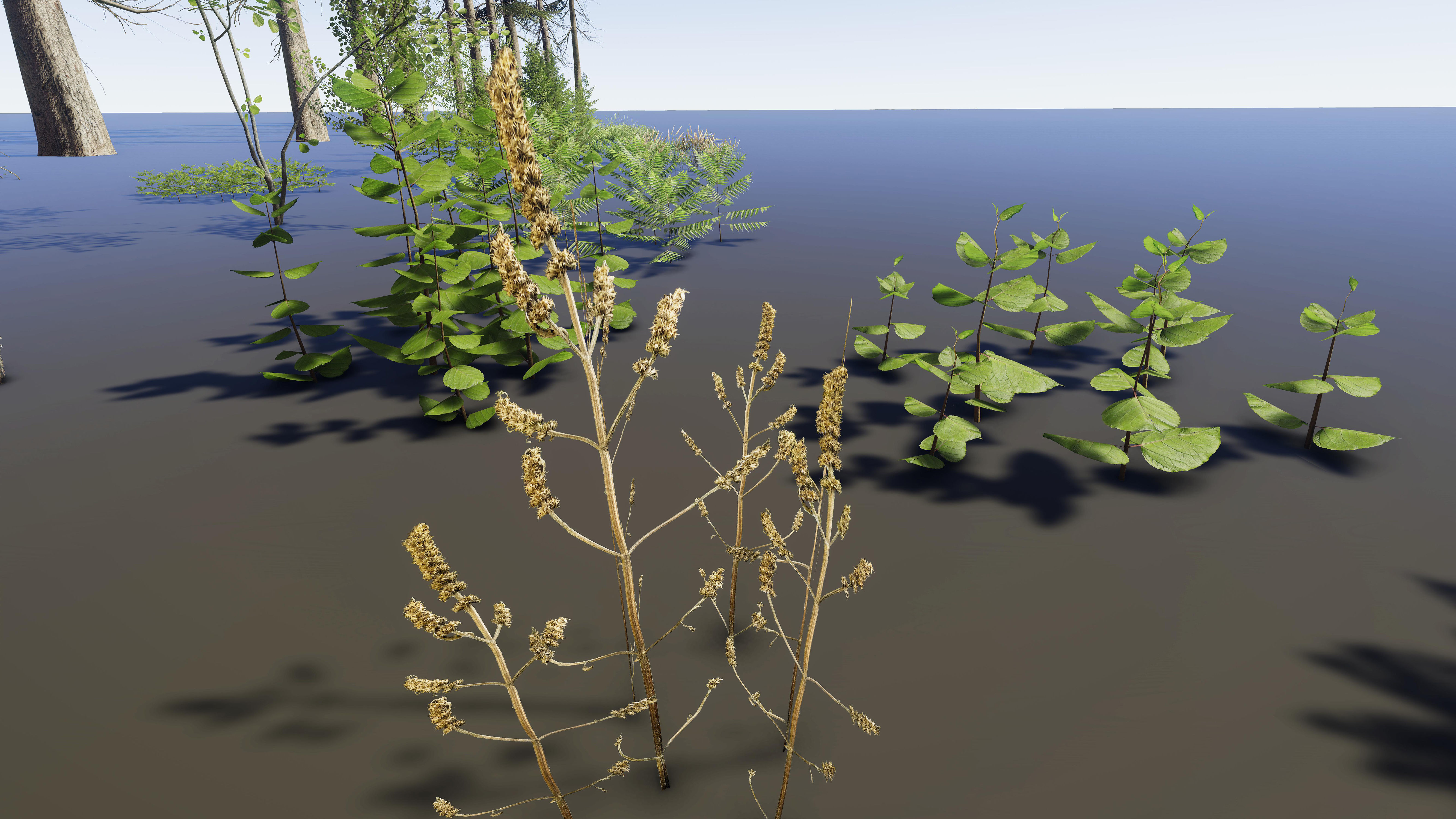 Nature Package - Coniferous Environment Unity Low-poly 3D model_40