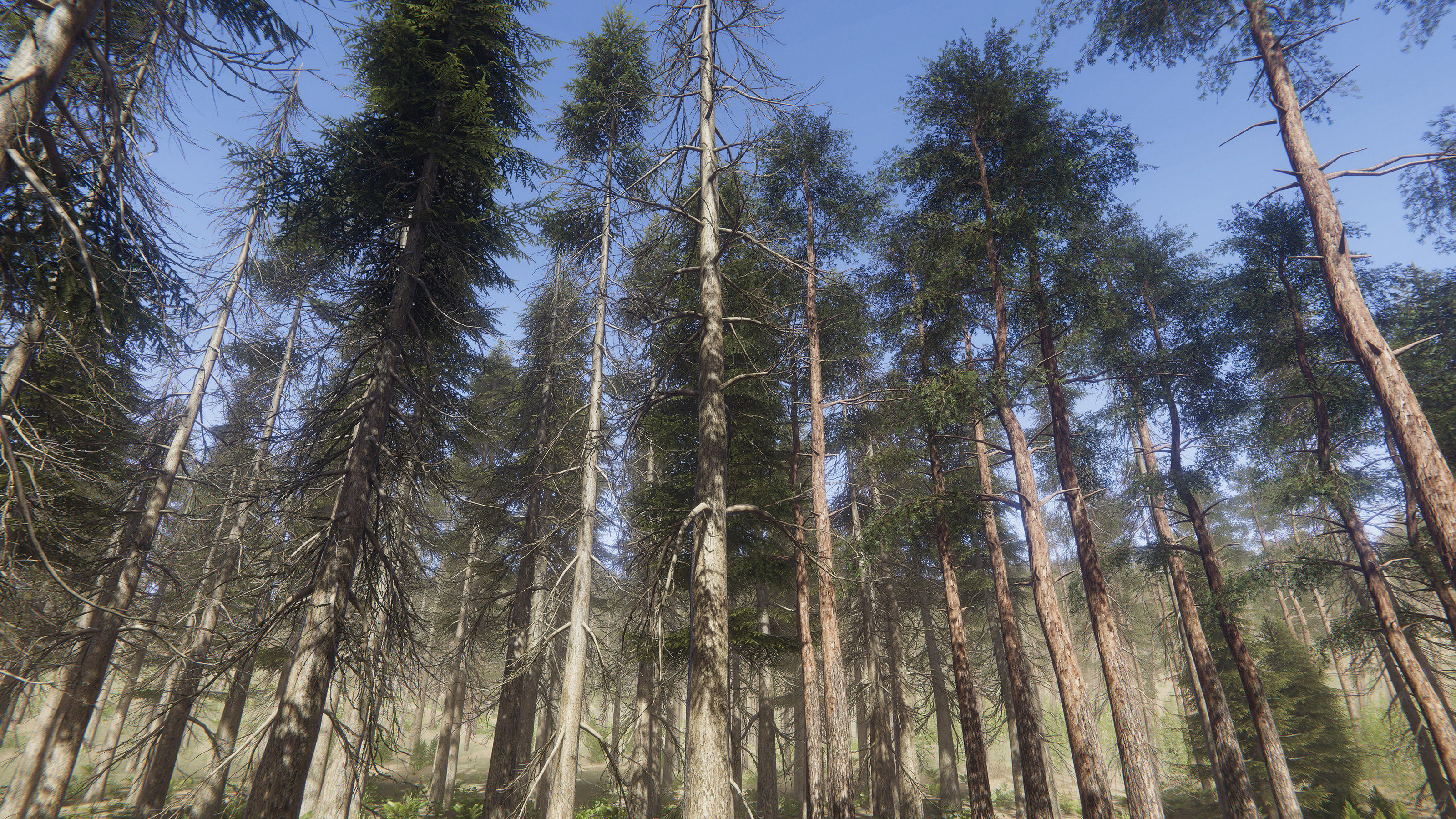 Nature Package - Coniferous Environment Unity Low-poly 3D model_17