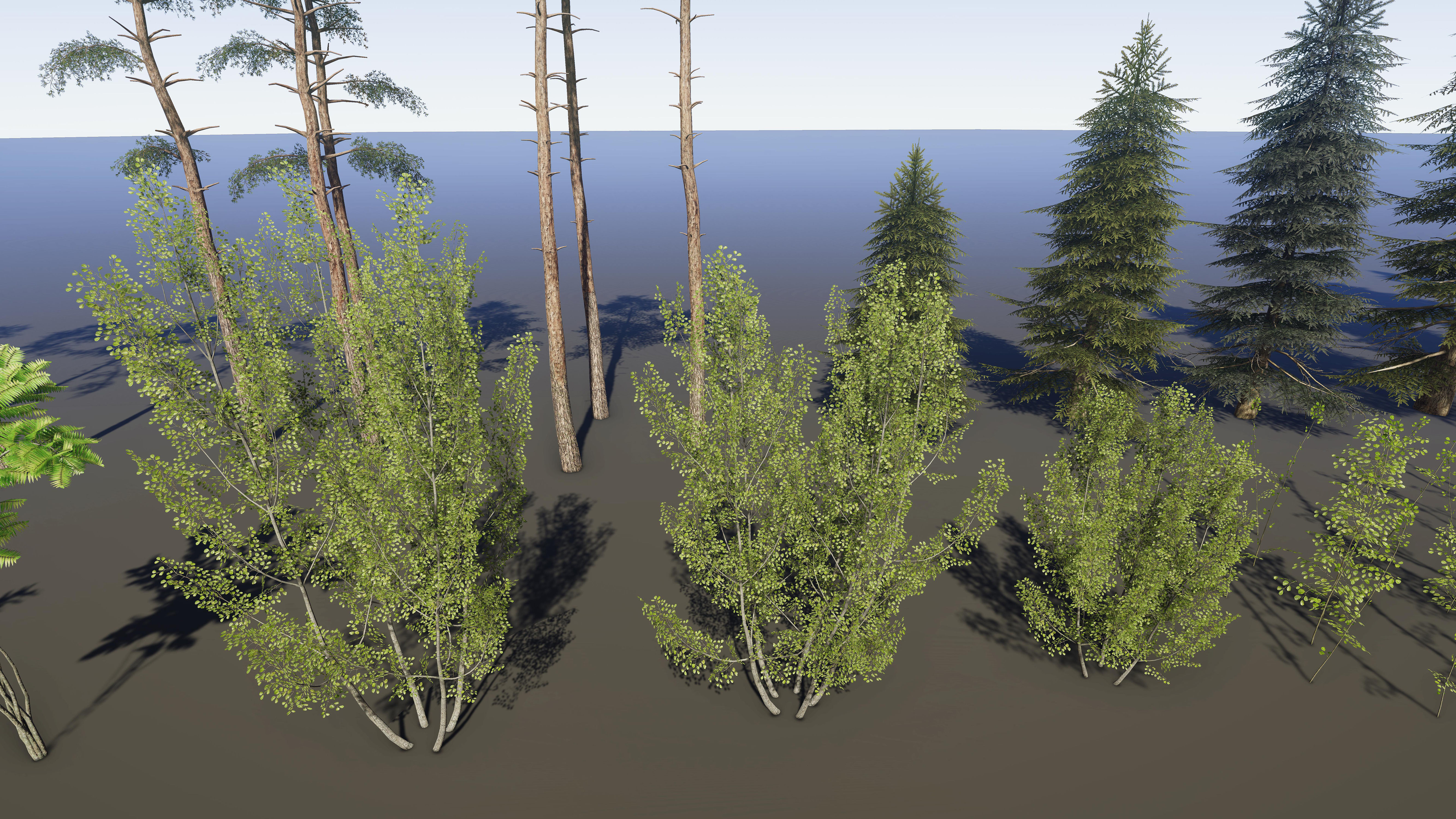 Nature Package - Coniferous Environment Unity Low-poly 3D model_54