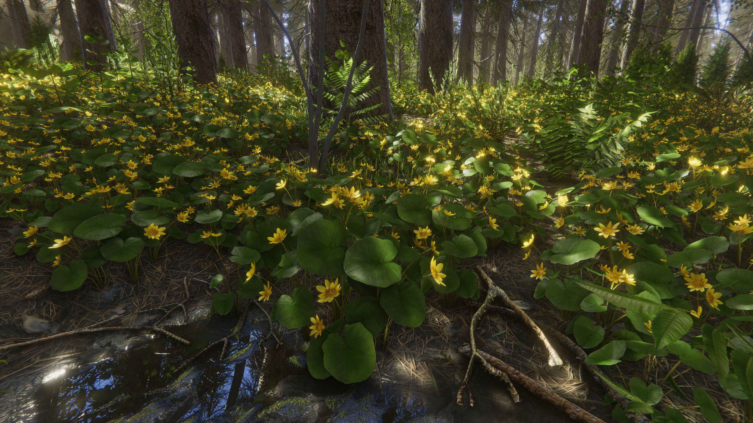 Nature Package - Coniferous Environment Unity Low-poly 3D model_6