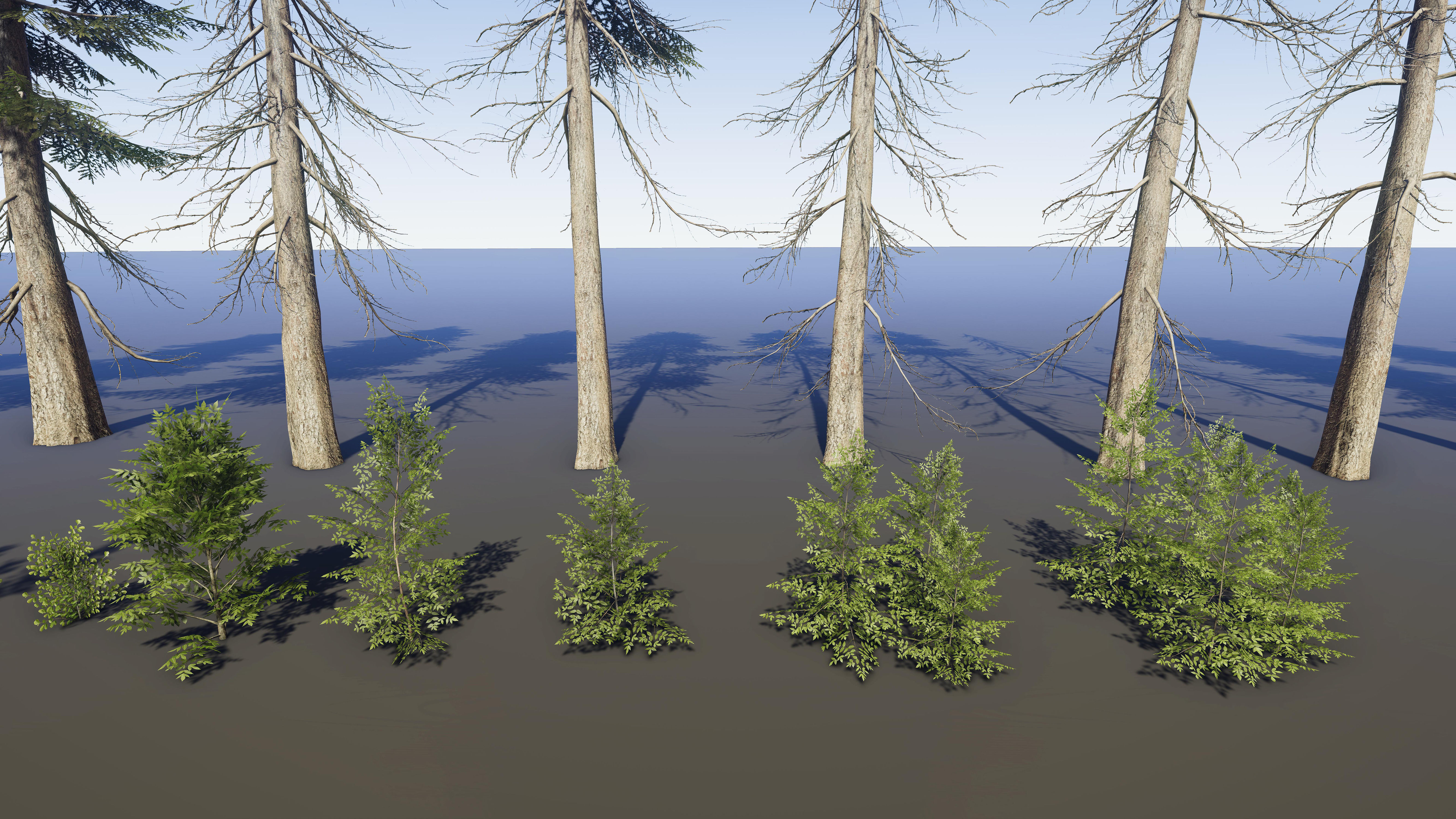 Nature Package - Coniferous Environment Unity Low-poly 3D model_31