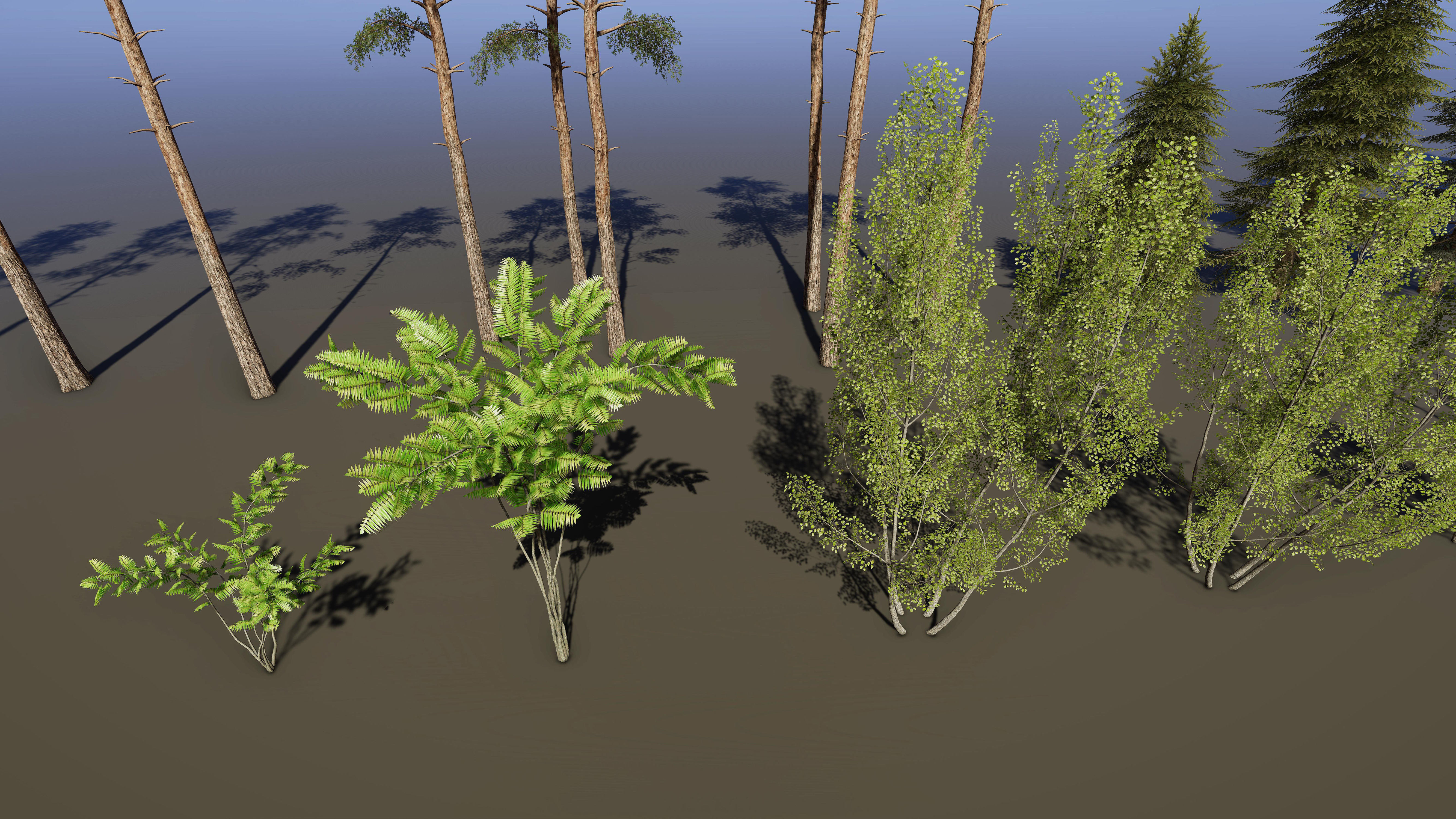 Nature Package - Coniferous Environment Unity Low-poly 3D model_53