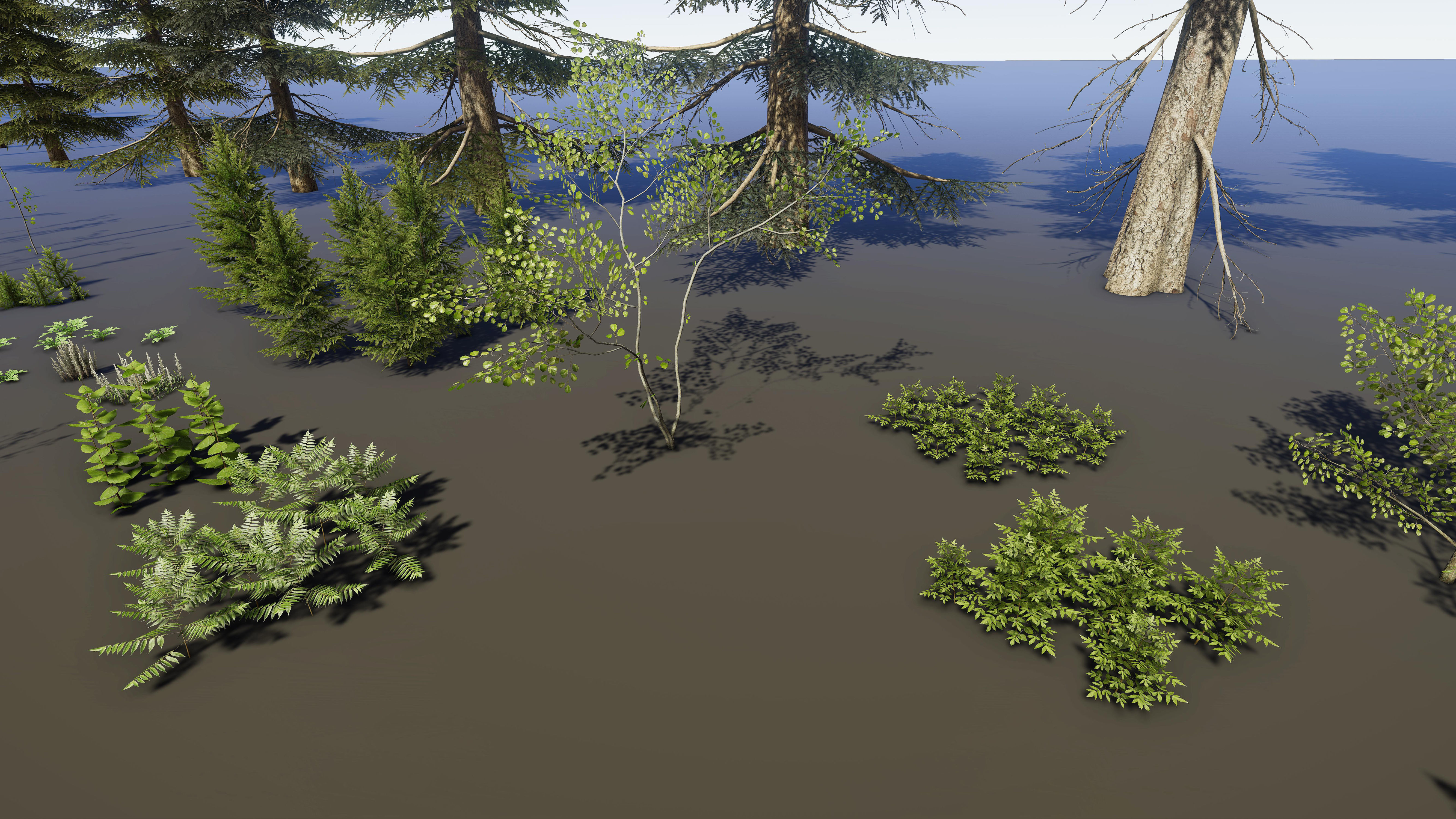 Nature Package - Coniferous Environment Unity Low-poly 3D model_51
