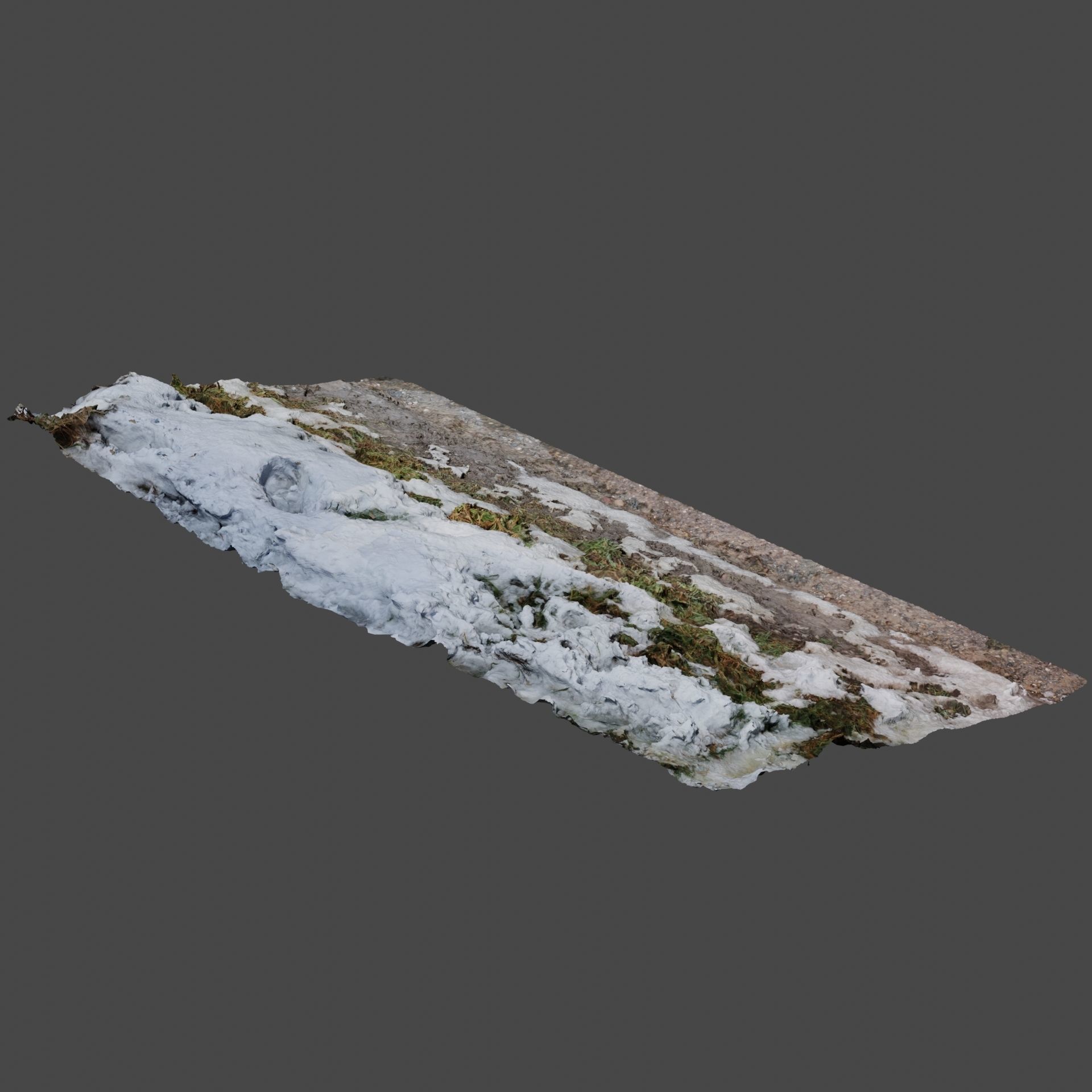 Winter Ground 3D model_2