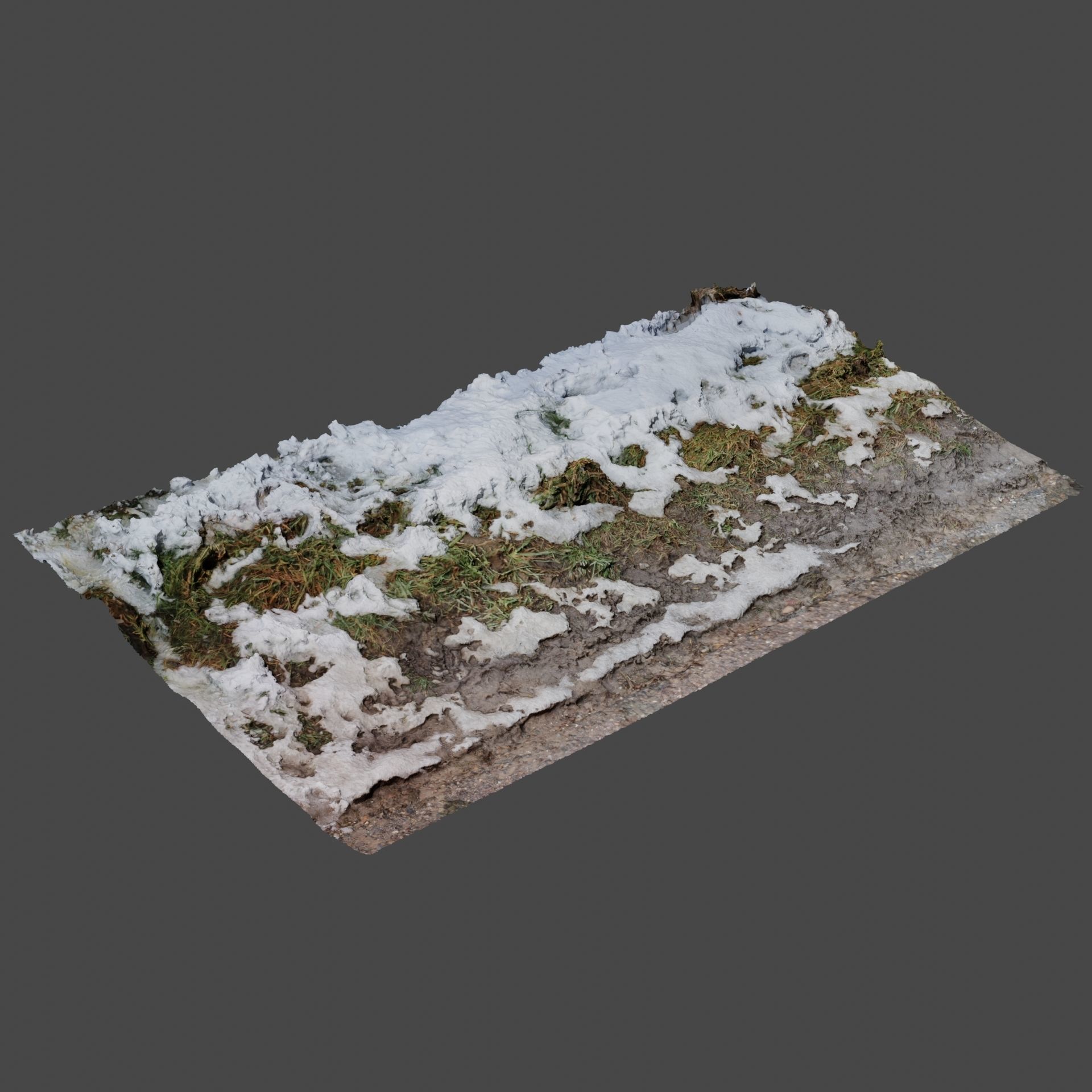Winter Ground 3D model_1