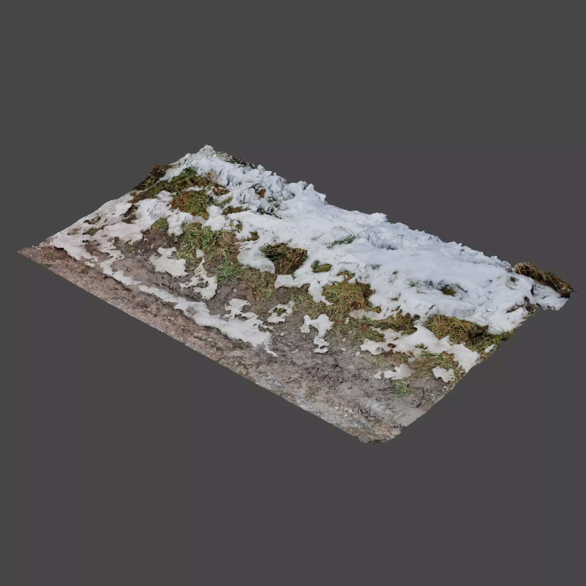 Winter Ground 3D model_0