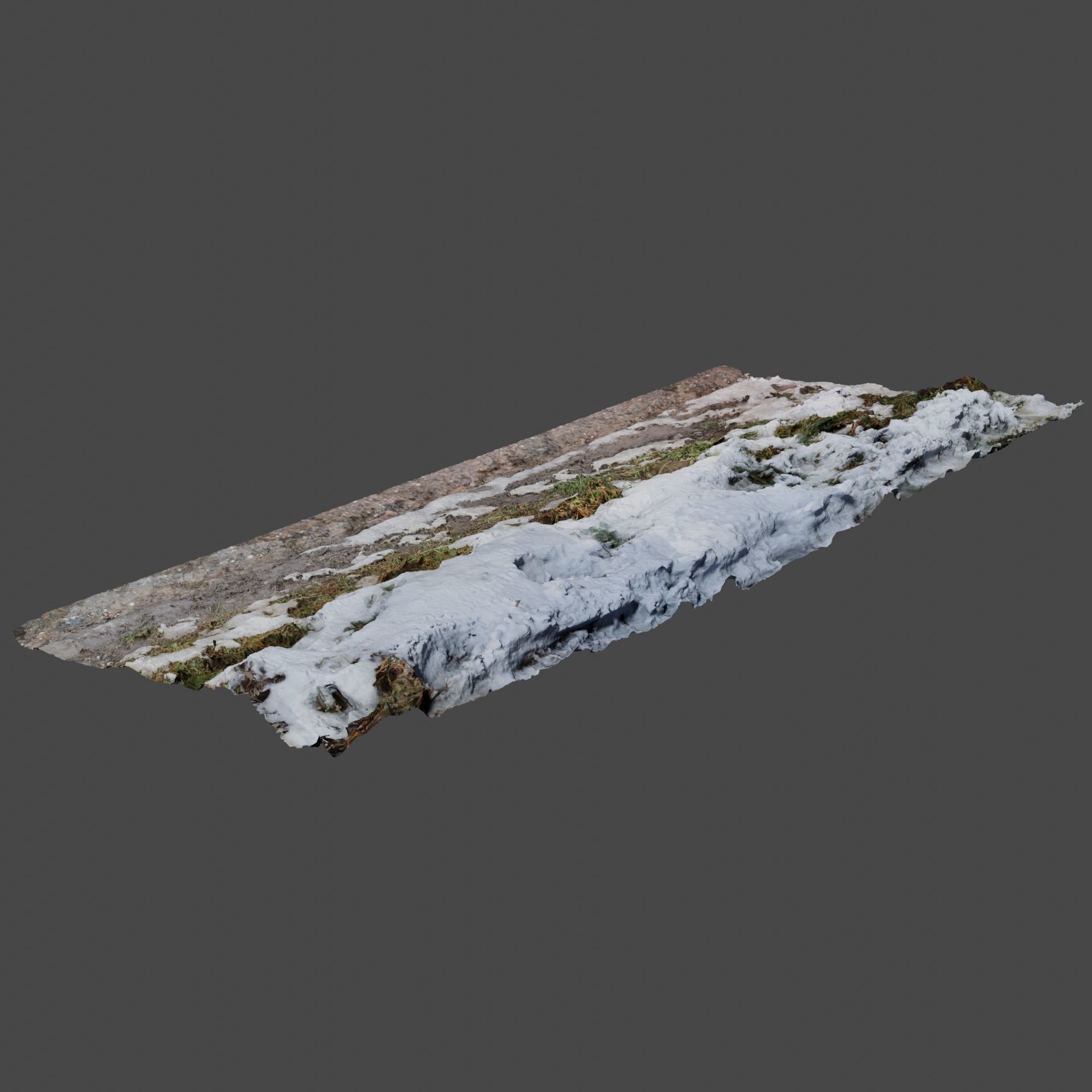 Winter Ground 3D model_3