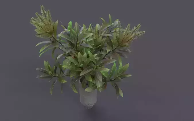 Flower Cinema 4D and Corona Renderer 