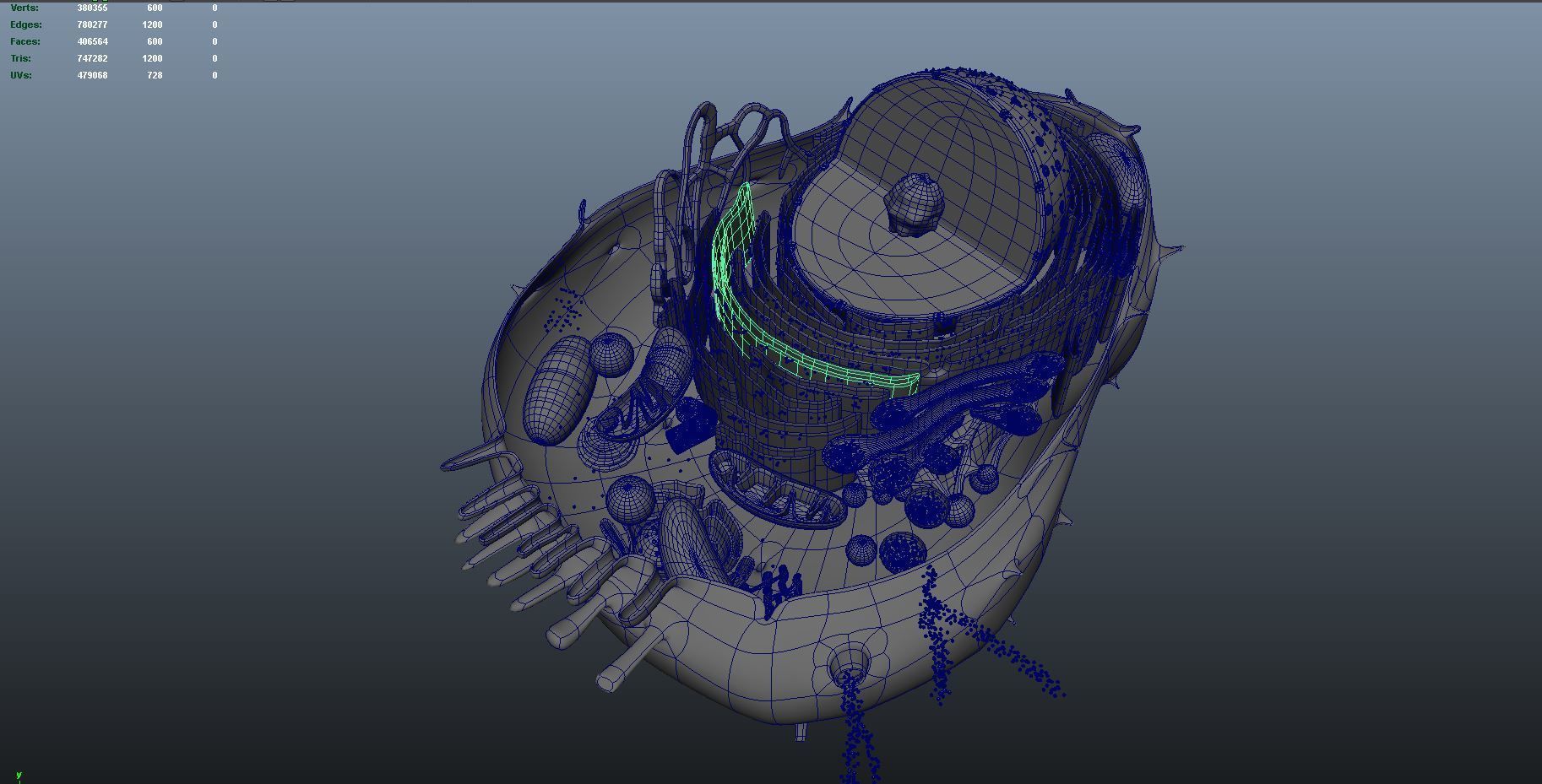 animal cell anatomy 3D model_6