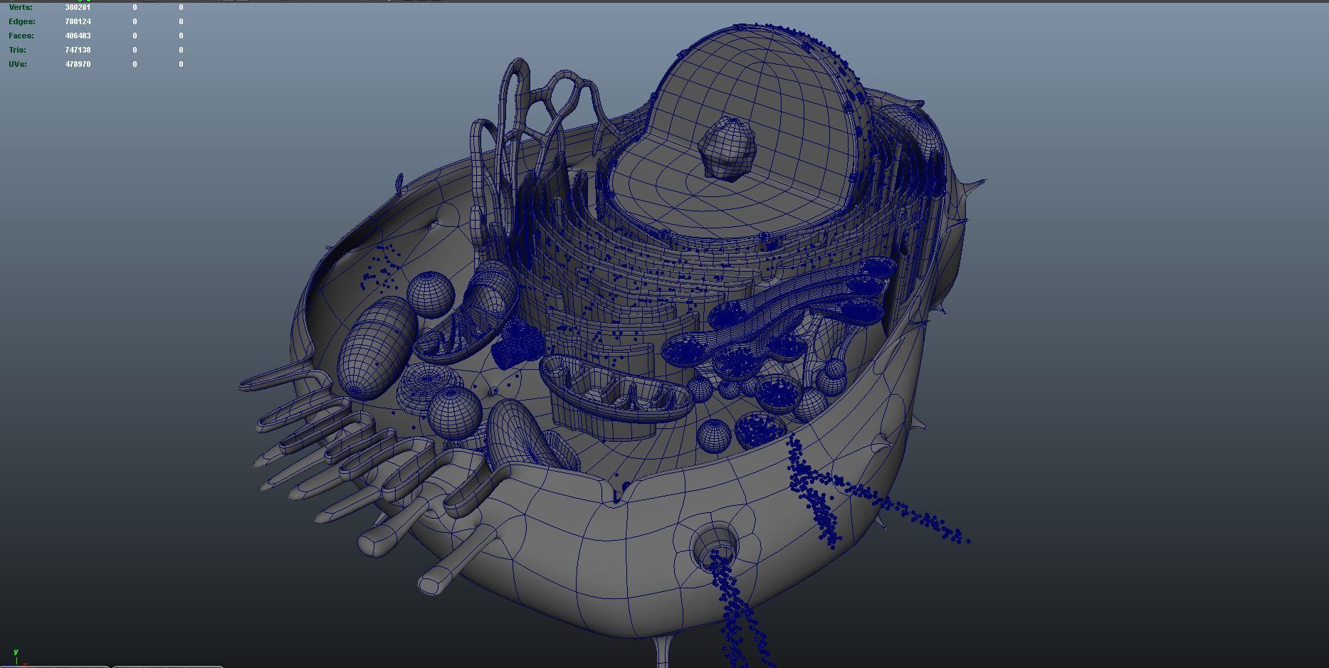 animal cell anatomy 3D model_9