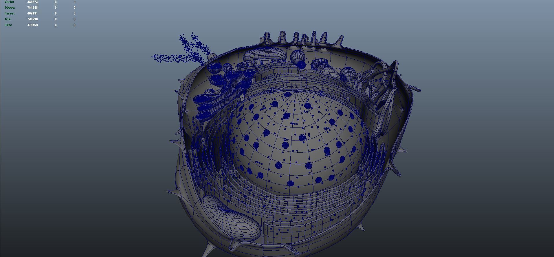 animal cell anatomy 3D model_7