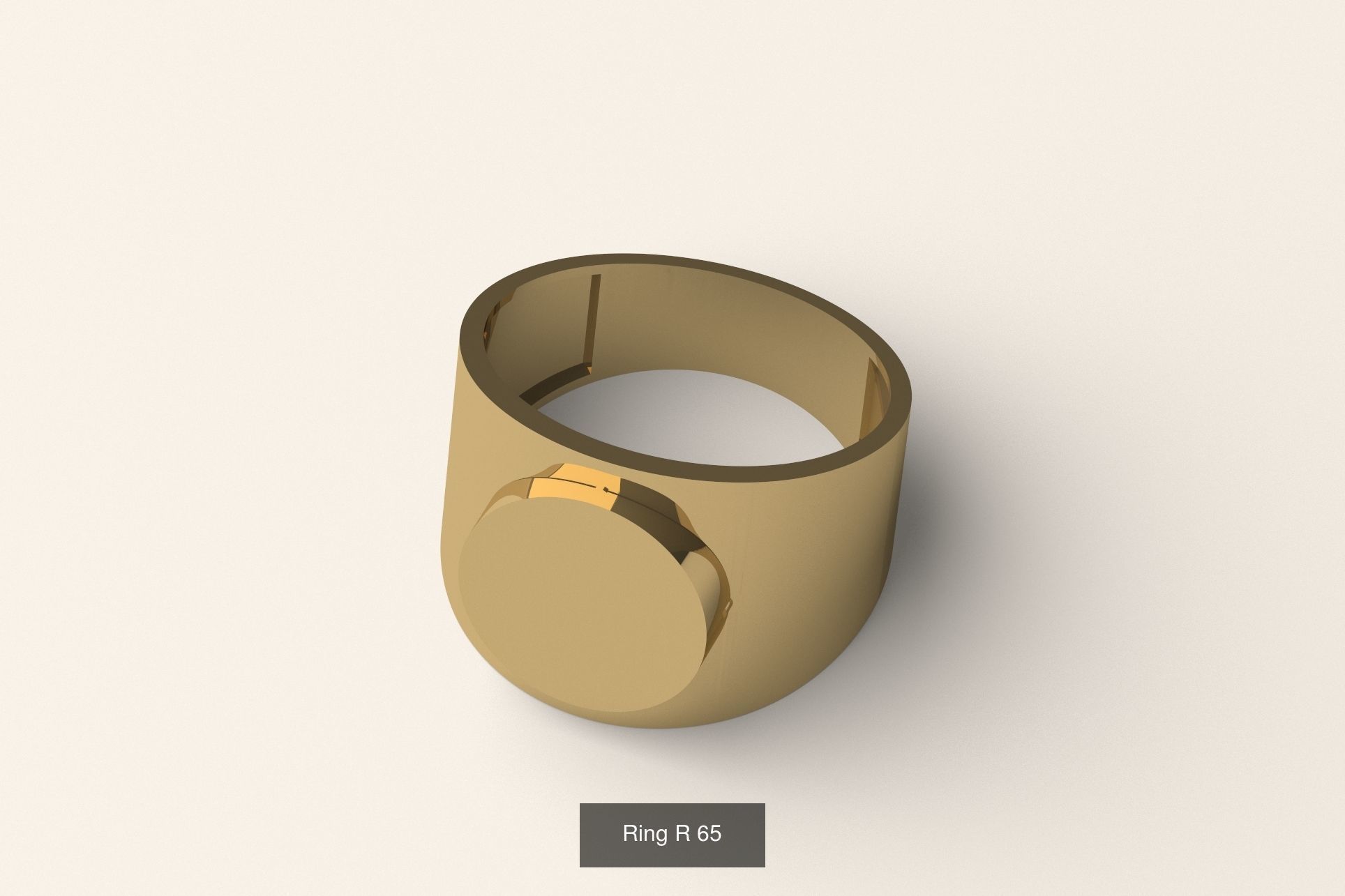 Signet ring collection _7