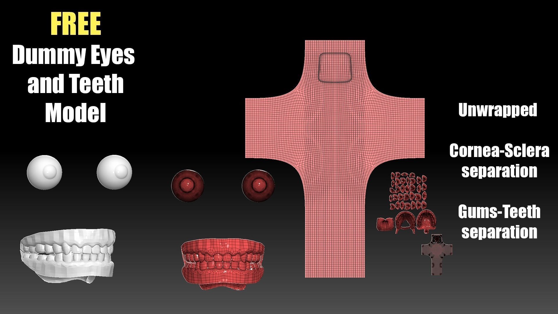 Male Head Basemesh Low-poly 3D model_4