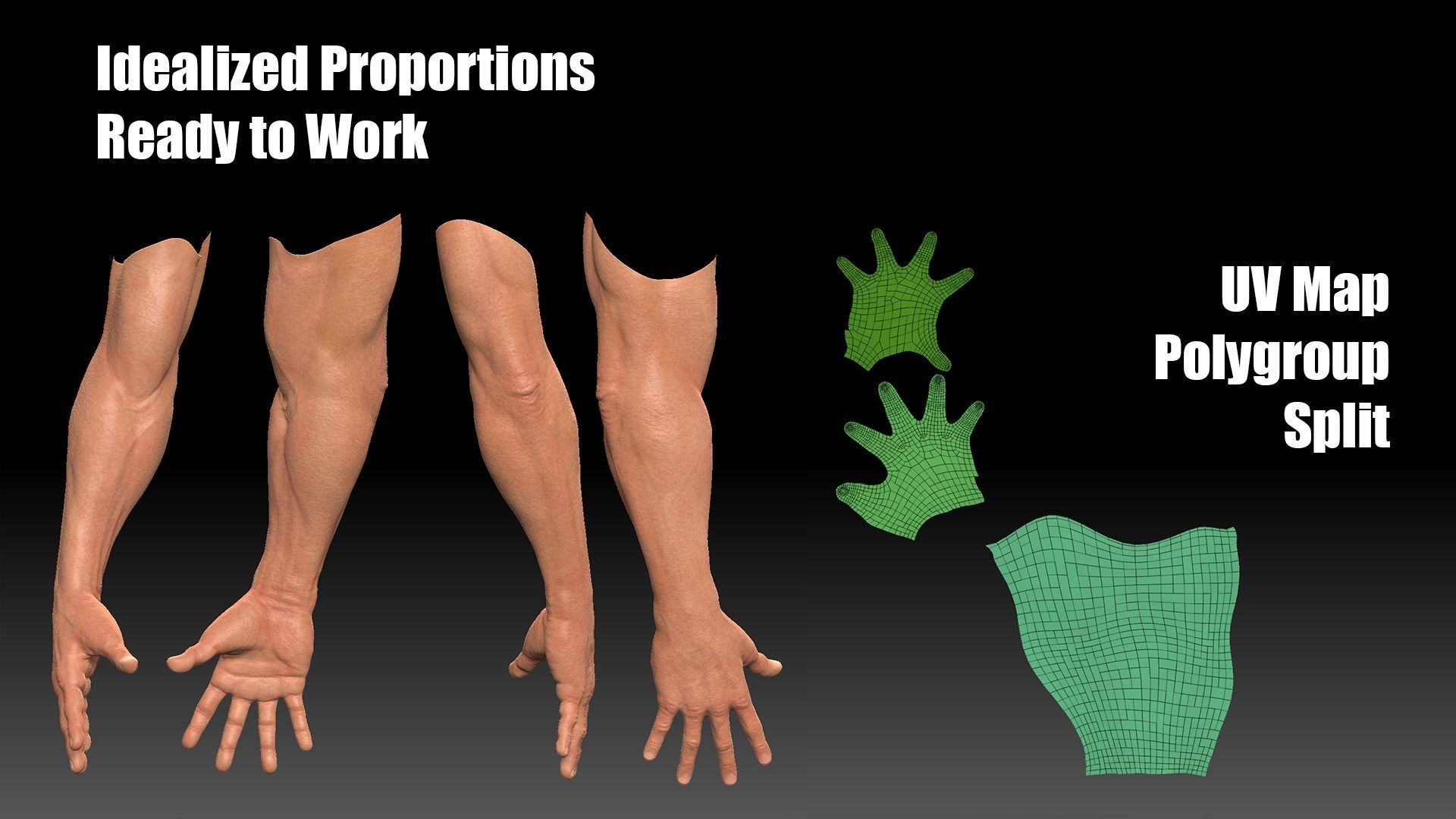 Male Arm Basemesh Low-poly 3D model_2