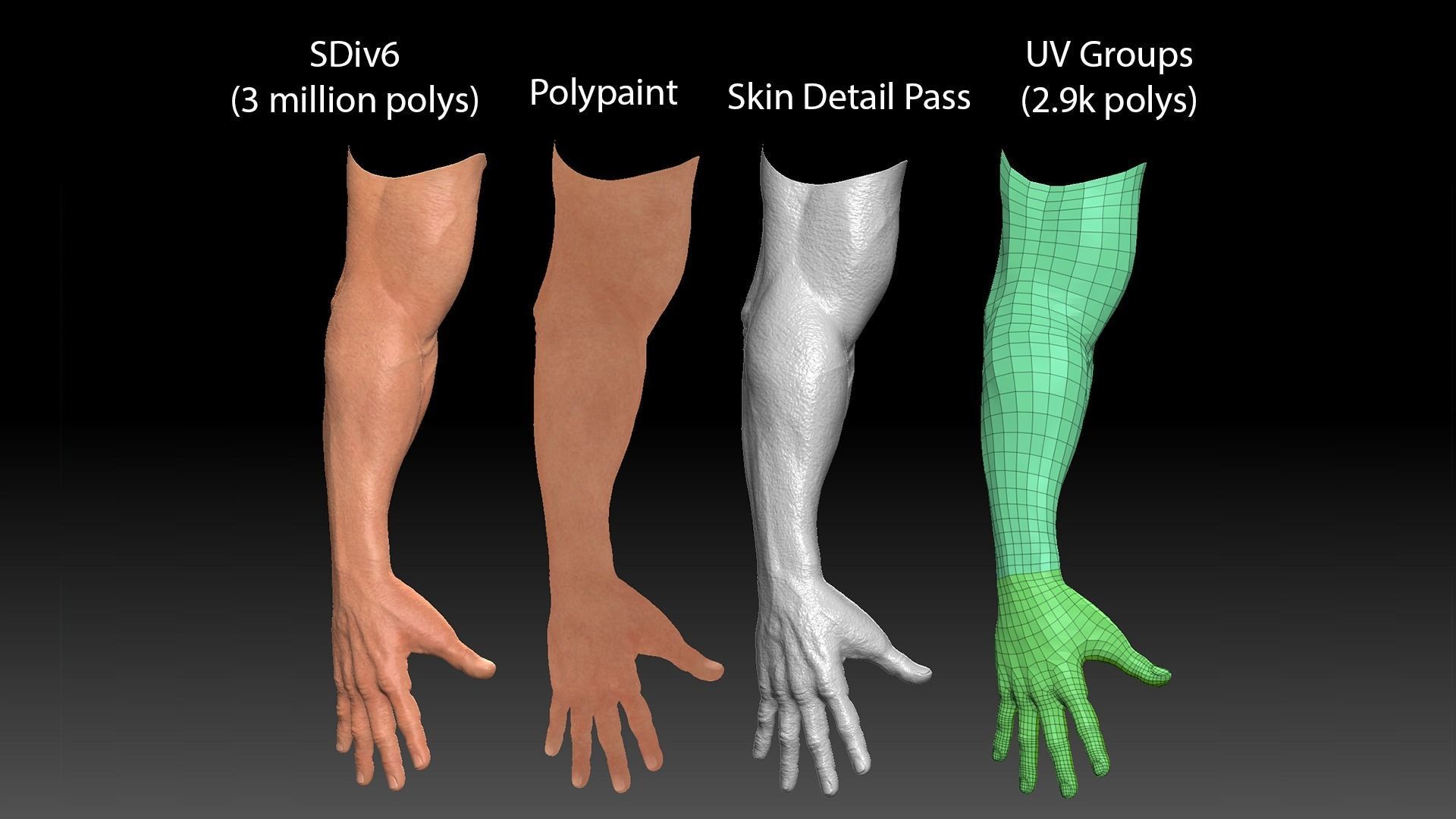 Male Arm Basemesh Low-poly 3D model_1