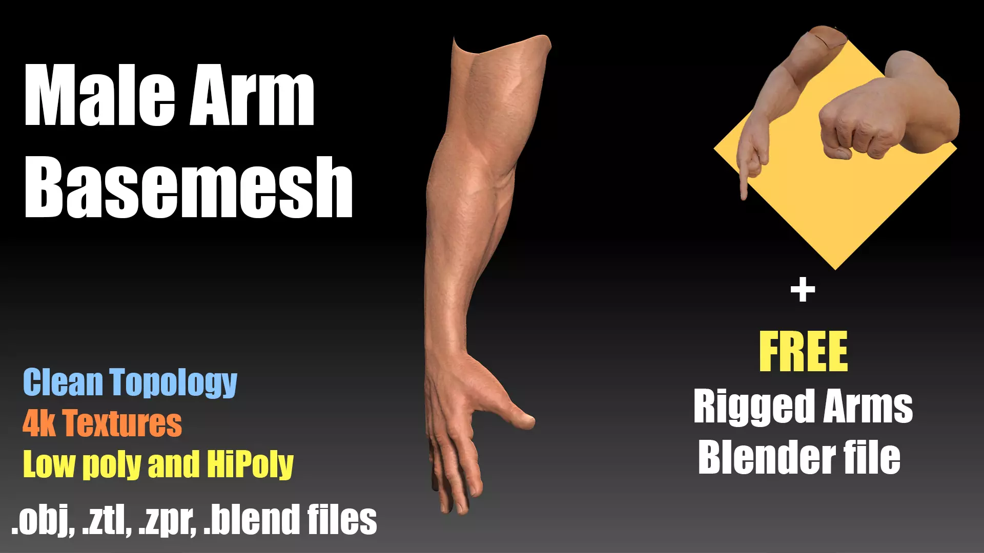 Male Arm Basemesh Low-poly 3D model_0