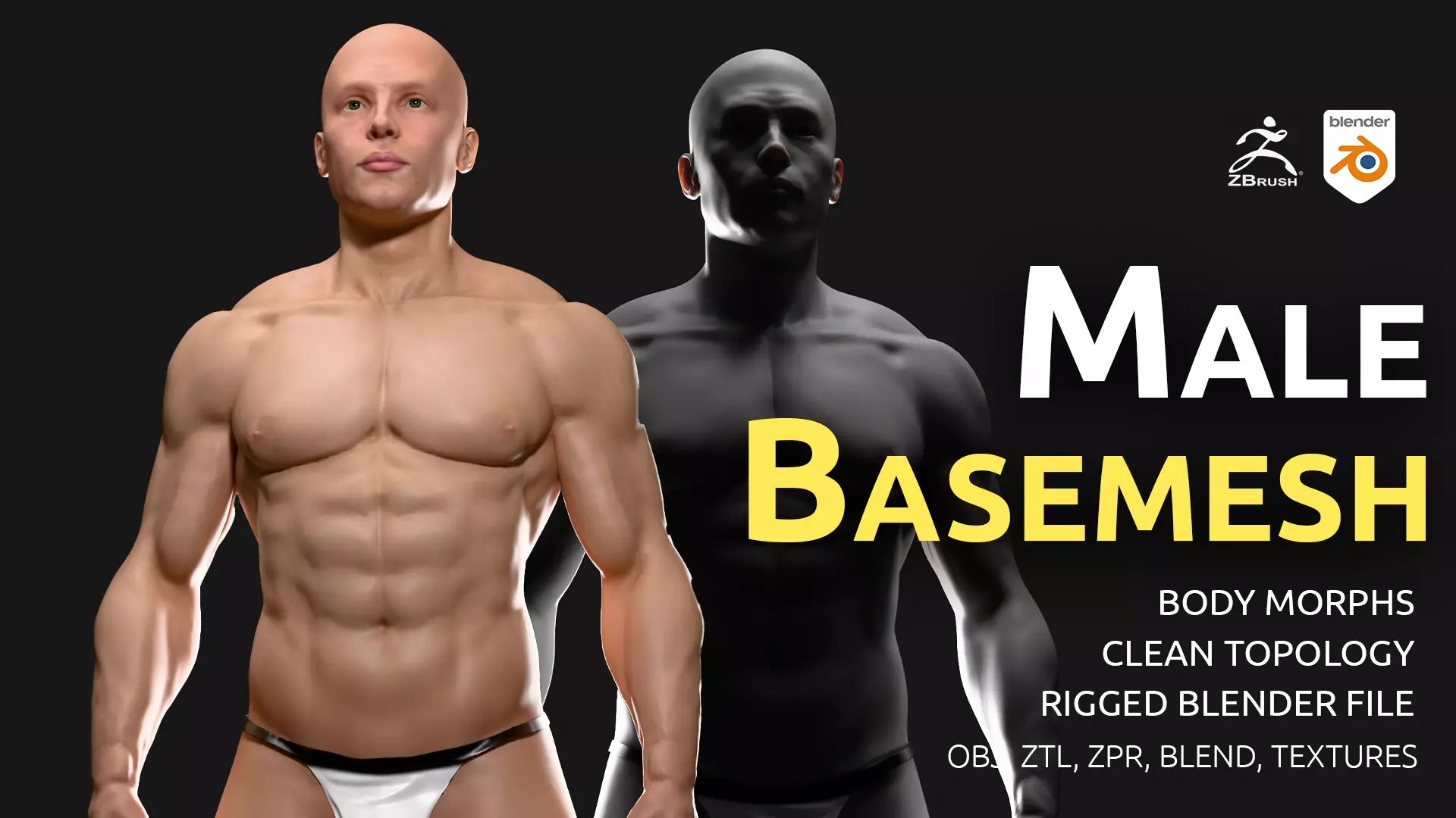 Male Basemesh V2 - with body morphs and rigged files Low-poly 3D model_0