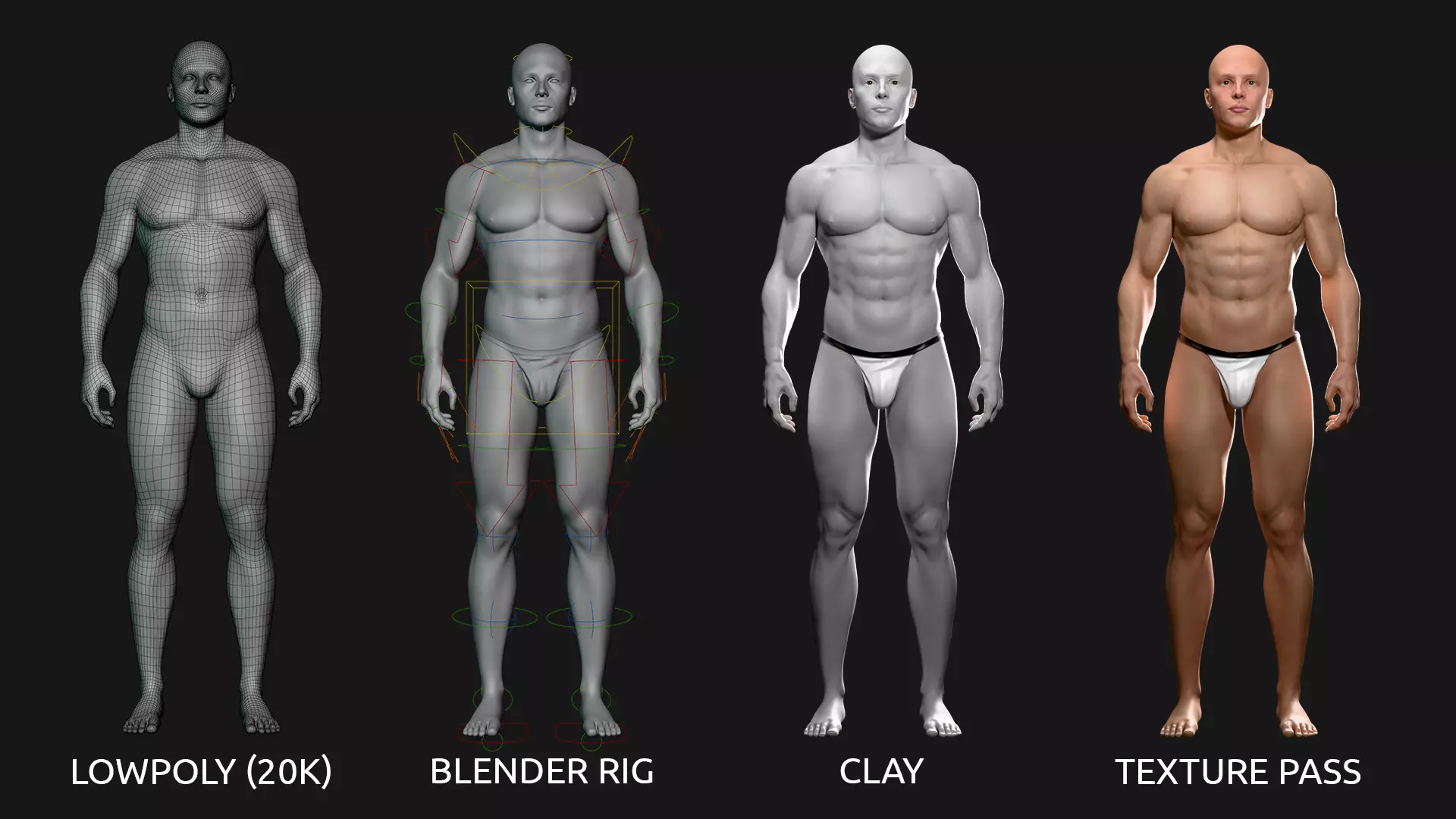 Male Basemesh V2 - with body morphs and rigged files Low-poly 3D model_2