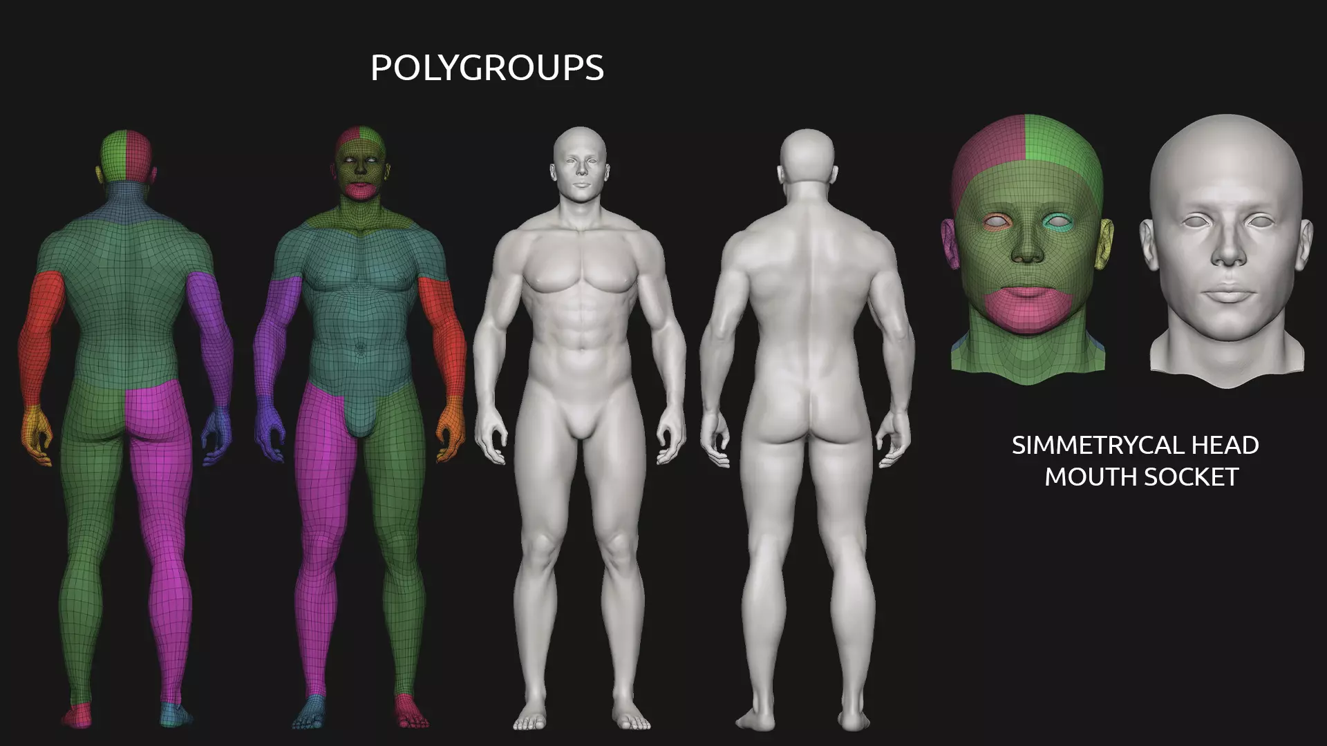 Male Basemesh V2 - with body morphs and rigged files Low-poly 3D model_4