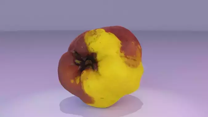 Quince fruit 07 high-poly 3D model