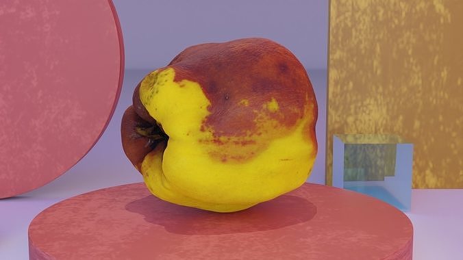 Quince fruit 07 high-poly 3D model 2