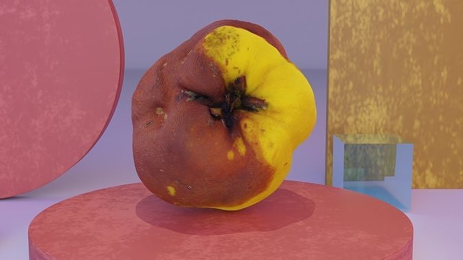 Quince fruit 07 high-poly 3D model 4