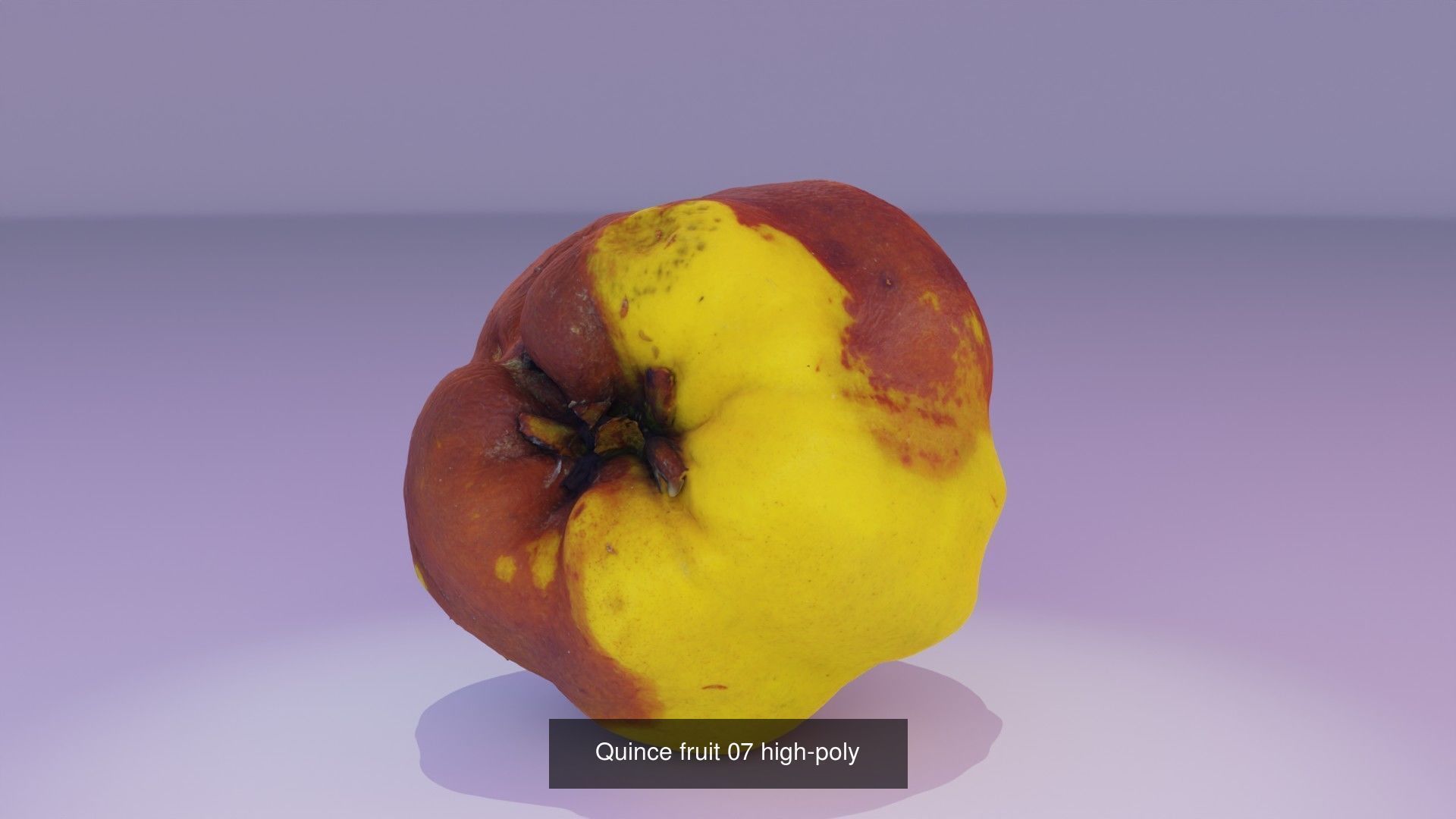Collection of quince fruits high-poly 3D model _8