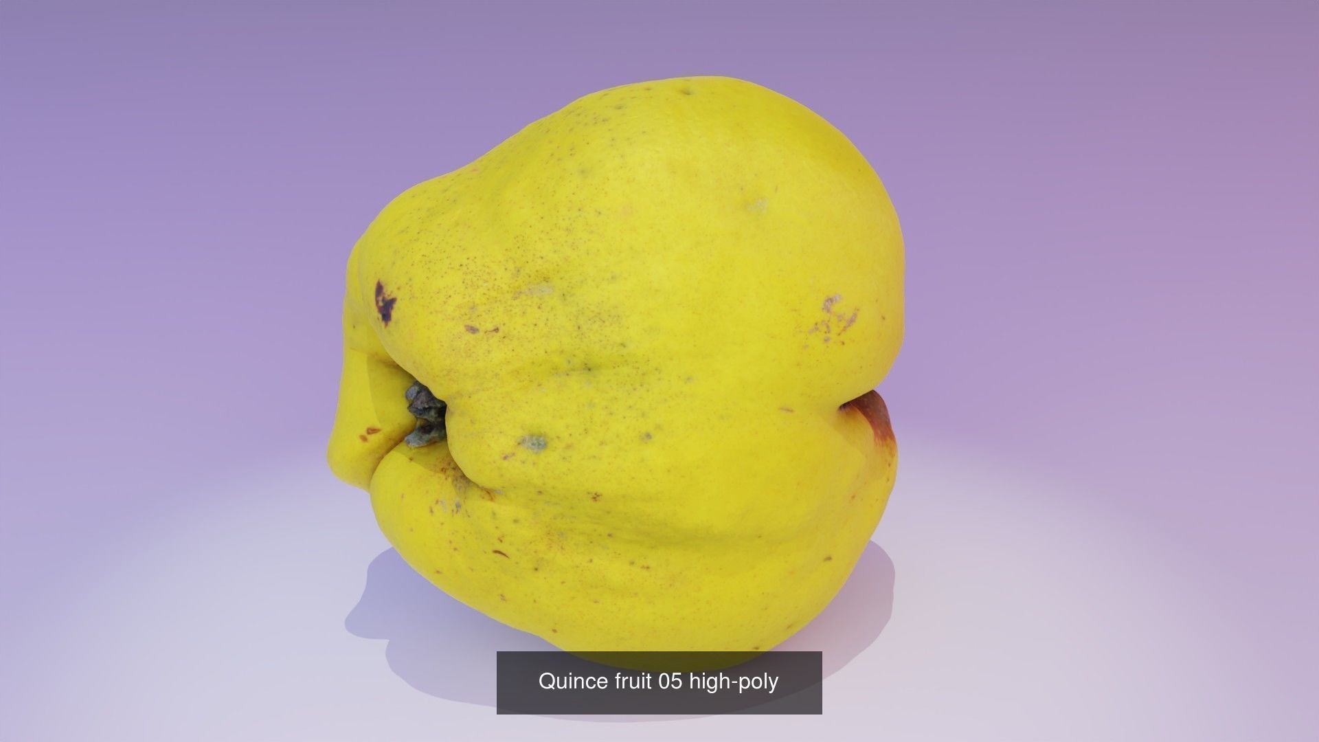 Collection of quince fruits high-poly 3D model _3