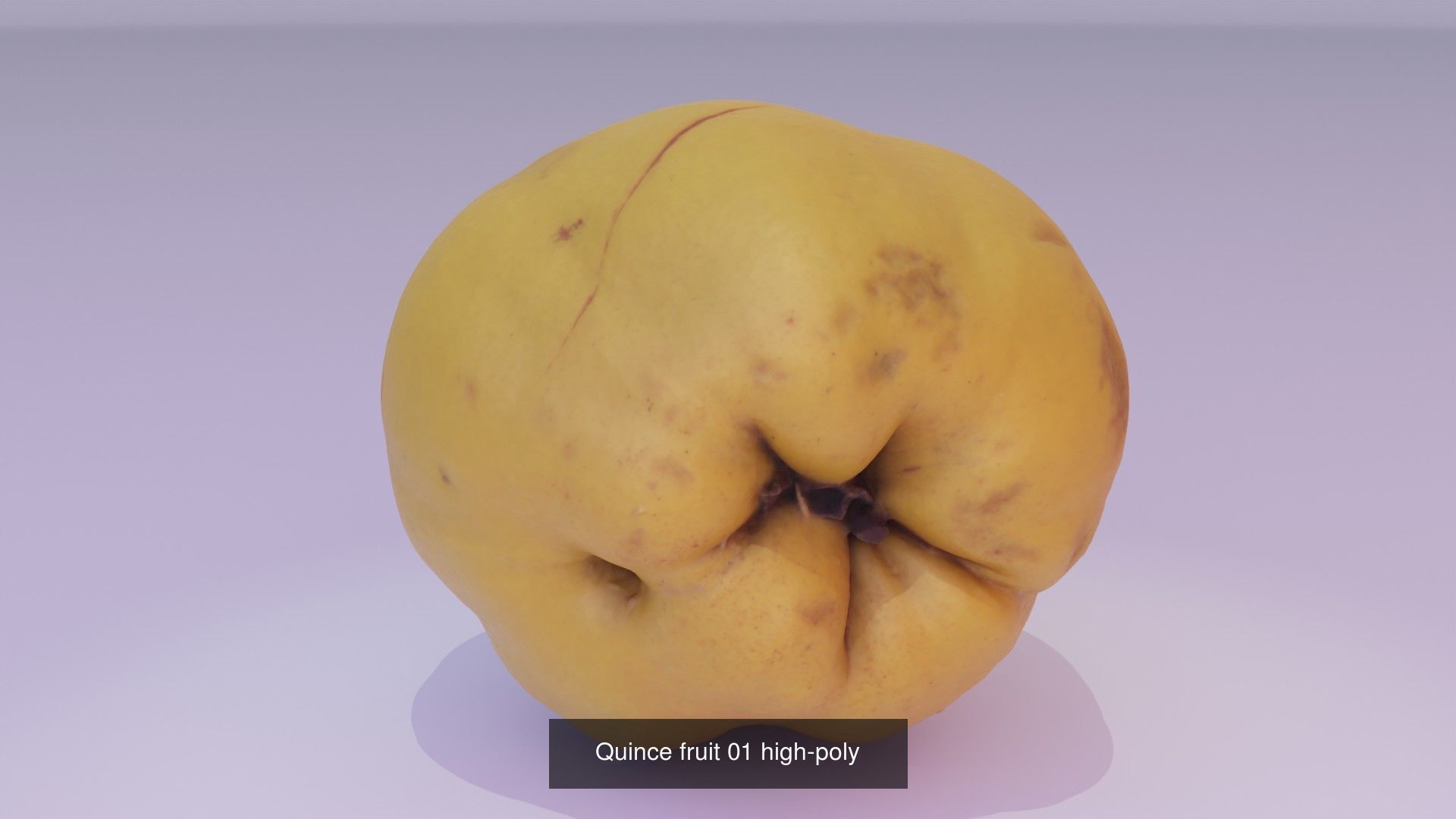 Collection of quince fruits high-poly 3D model _7