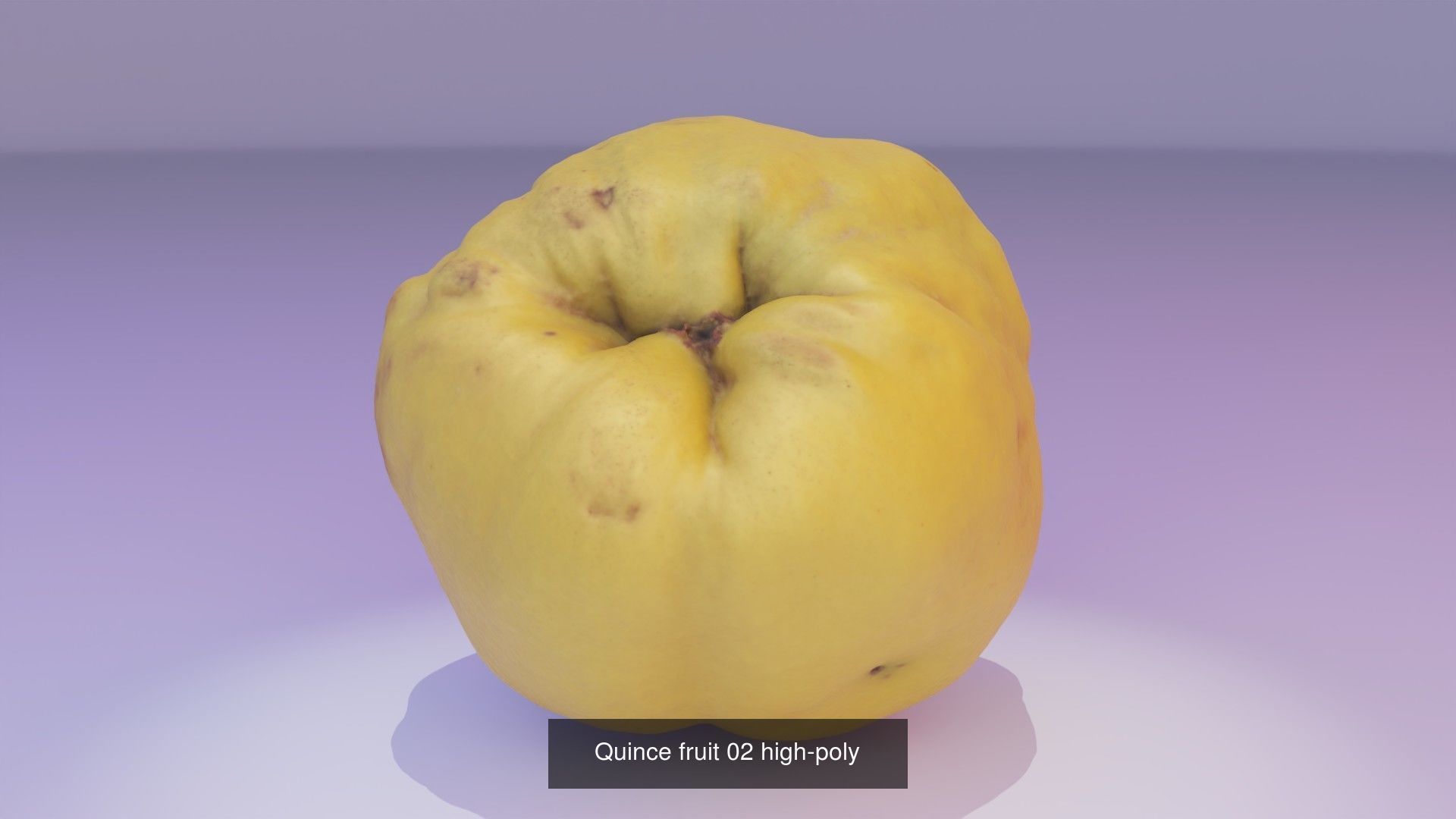 Collection of quince fruits high-poly 3D model _6