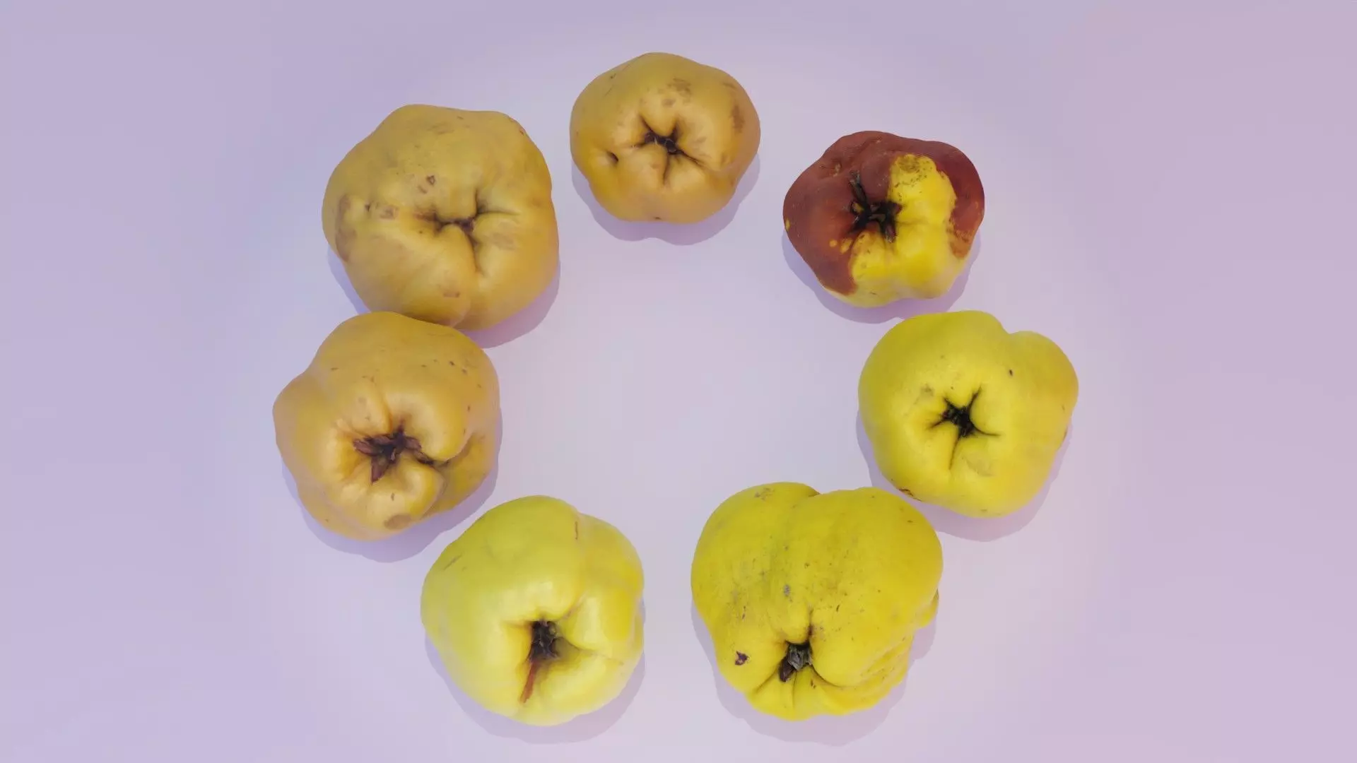 Collection of quince fruits high-poly 3D model _0