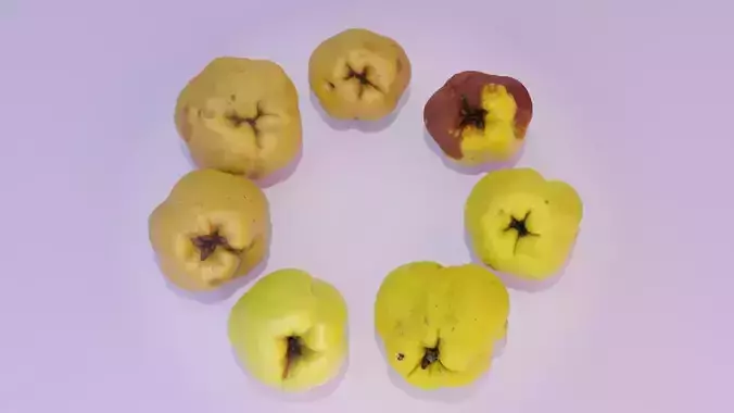Collection of quince fruits high-poly 3D model 