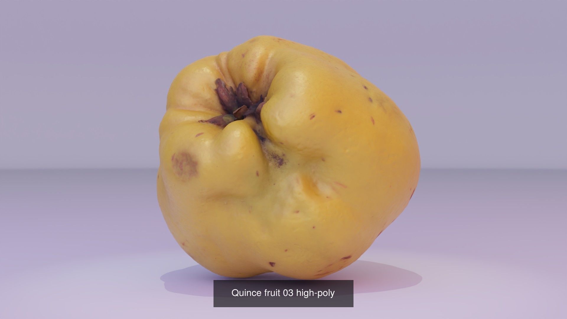 Collection of quince fruits high-poly 3D model _5