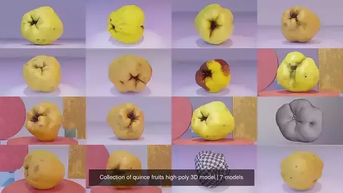 Collection of quince fruits high-poly 3D model