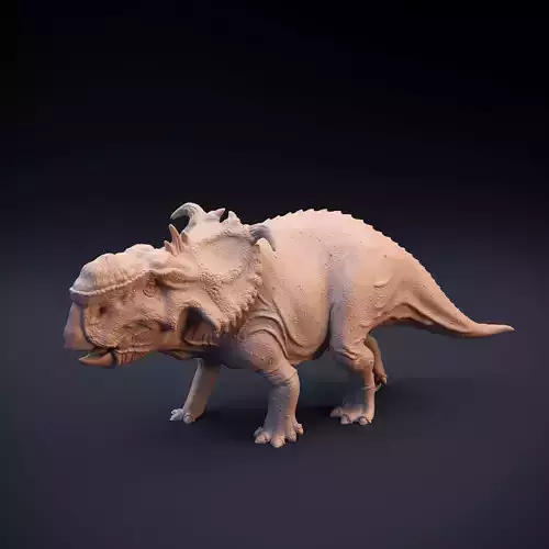 Pachyrhinosaurus intended for 3D printing 3D print model