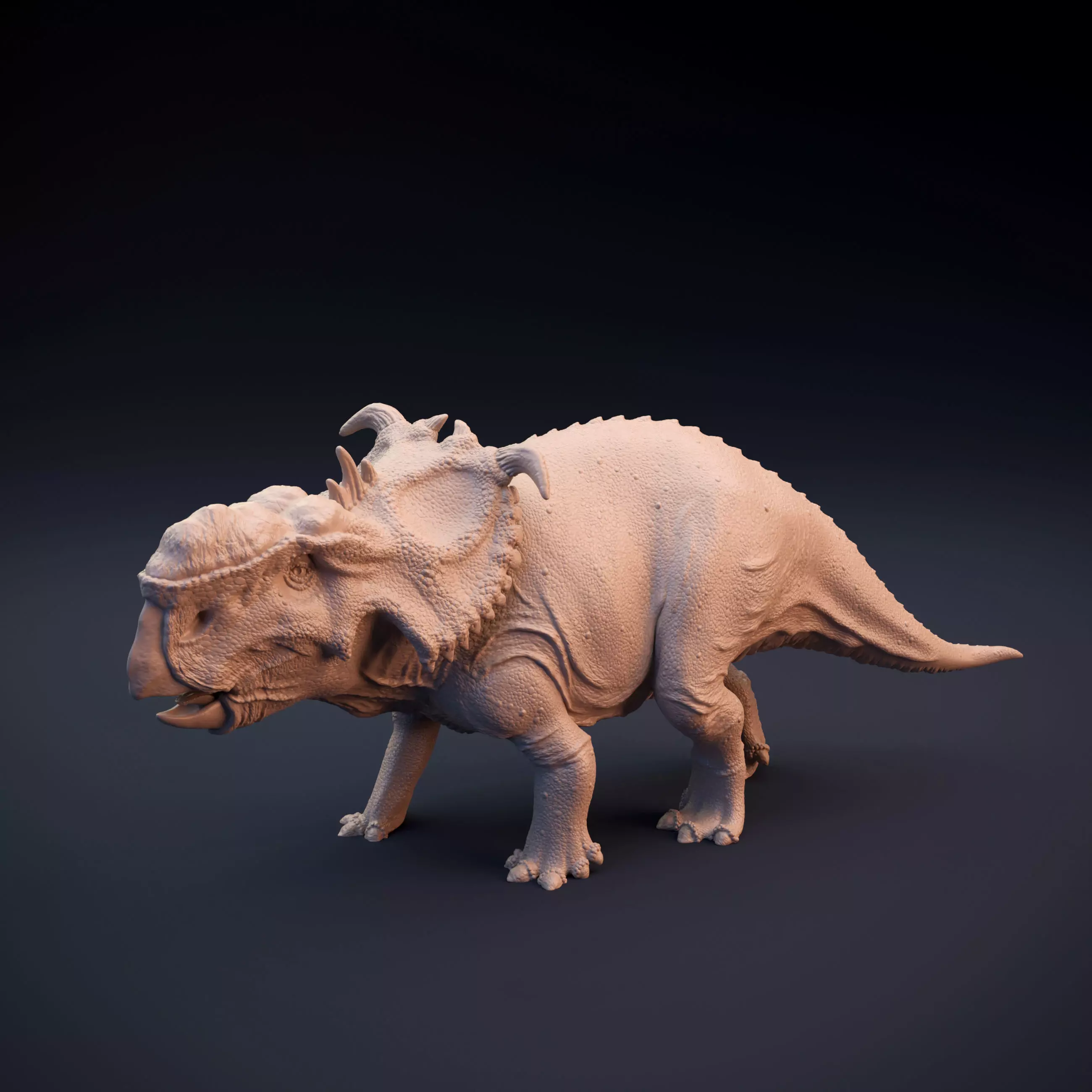 Pachyrhinosaurus intended for 3D printing 3D print model_0